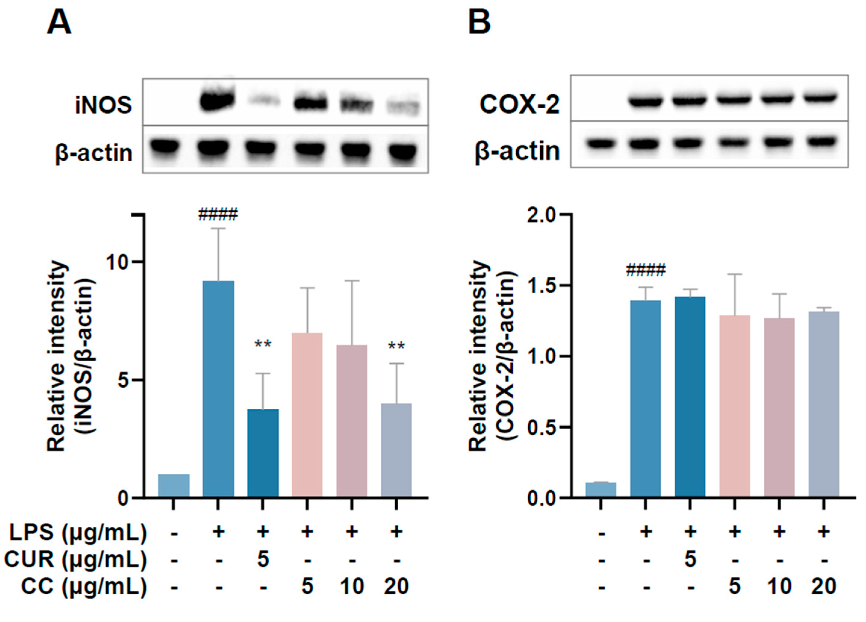 Plants 13 02506 g006