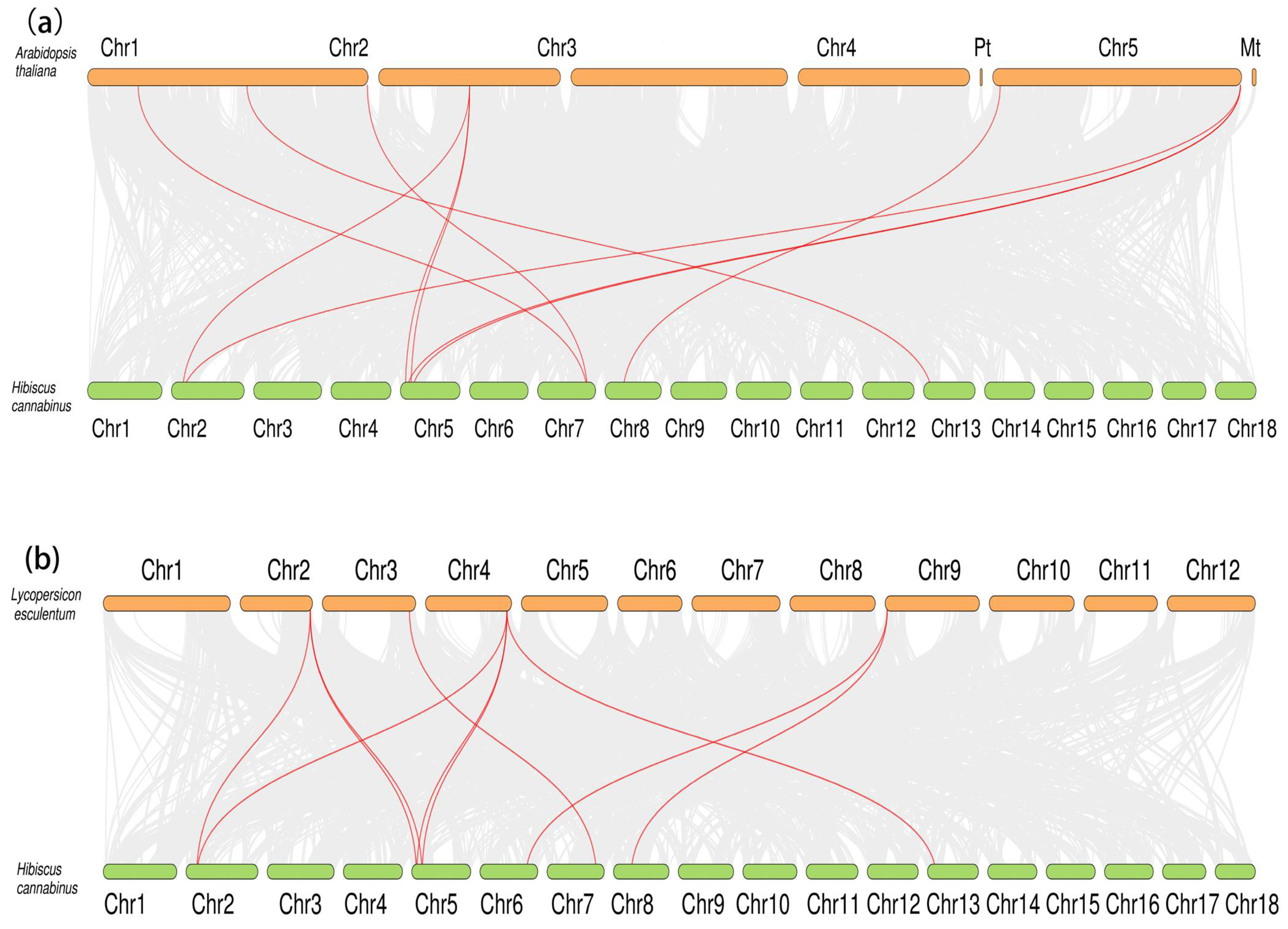 Plants 13 02514 g006