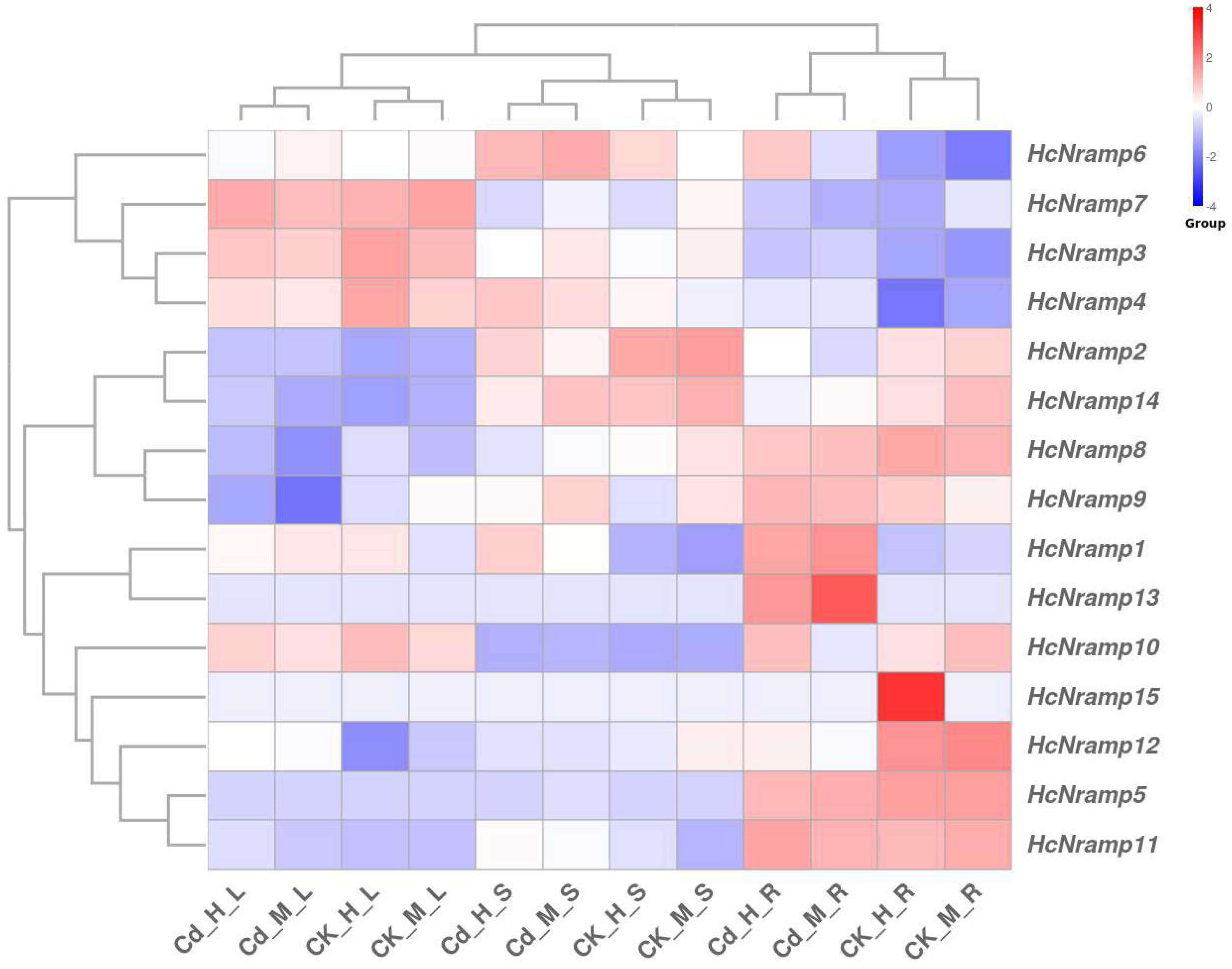 Plants 13 02514 g007