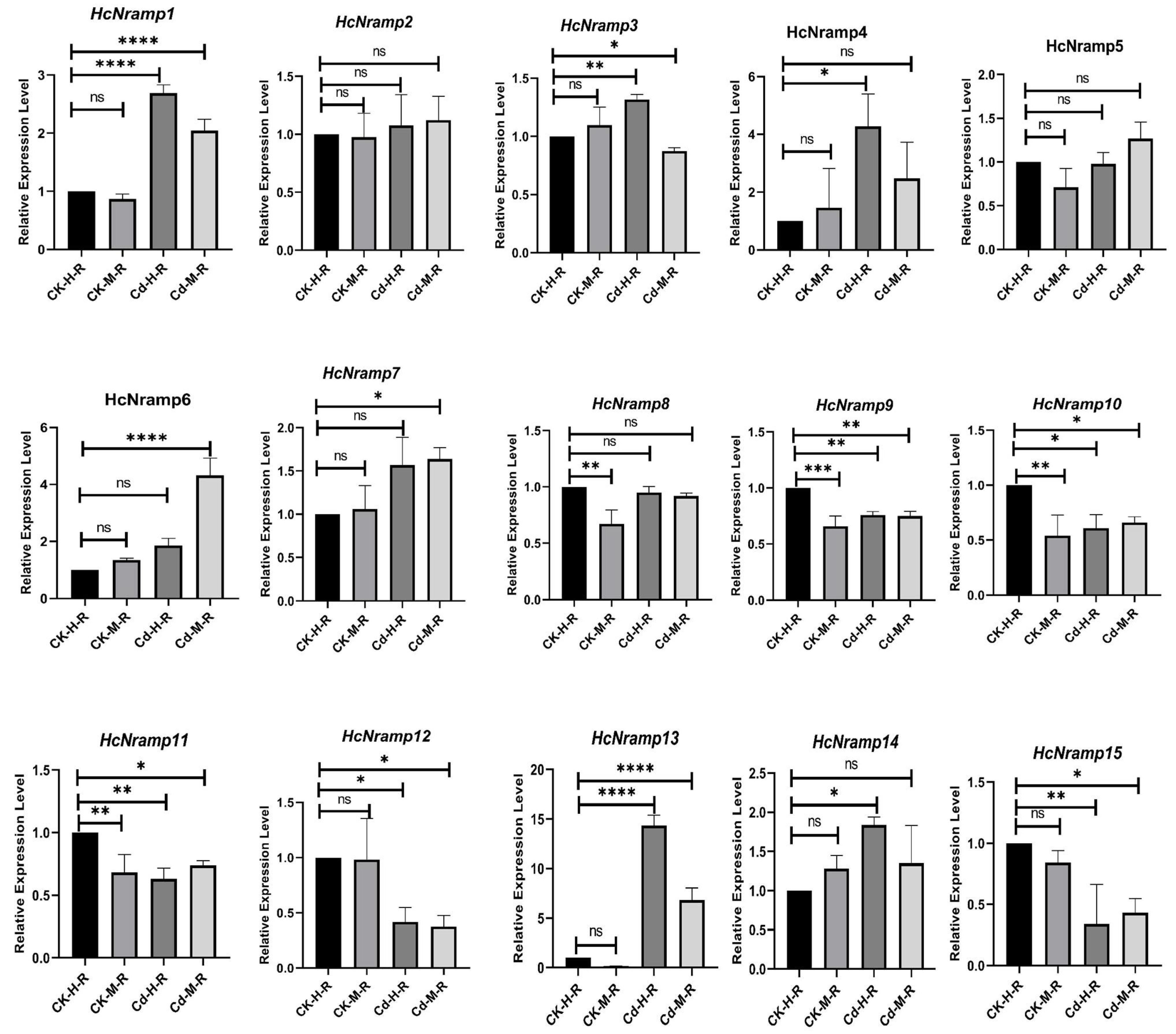 Plants 13 02514 g008