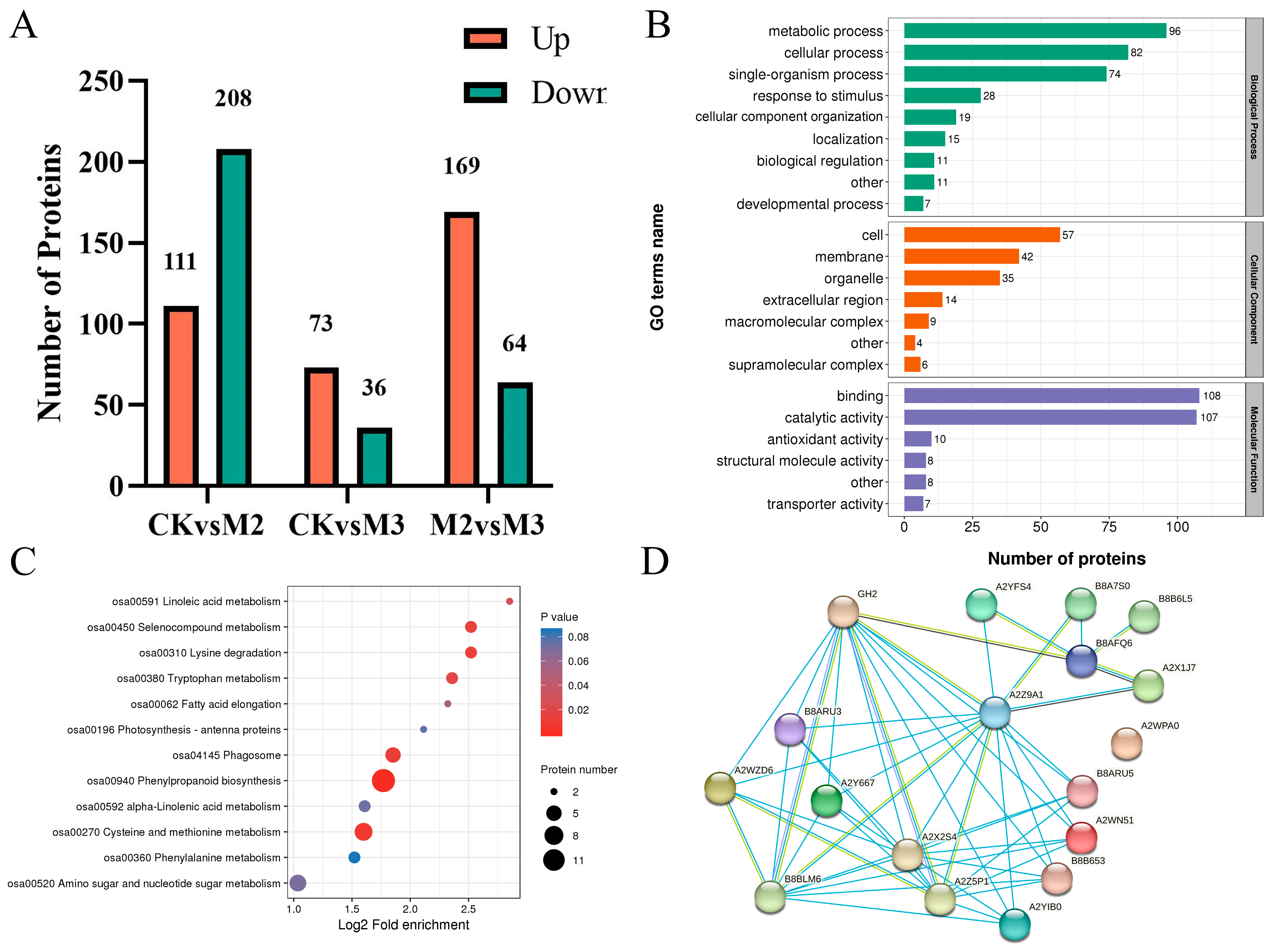 Plants 13 02517 g005