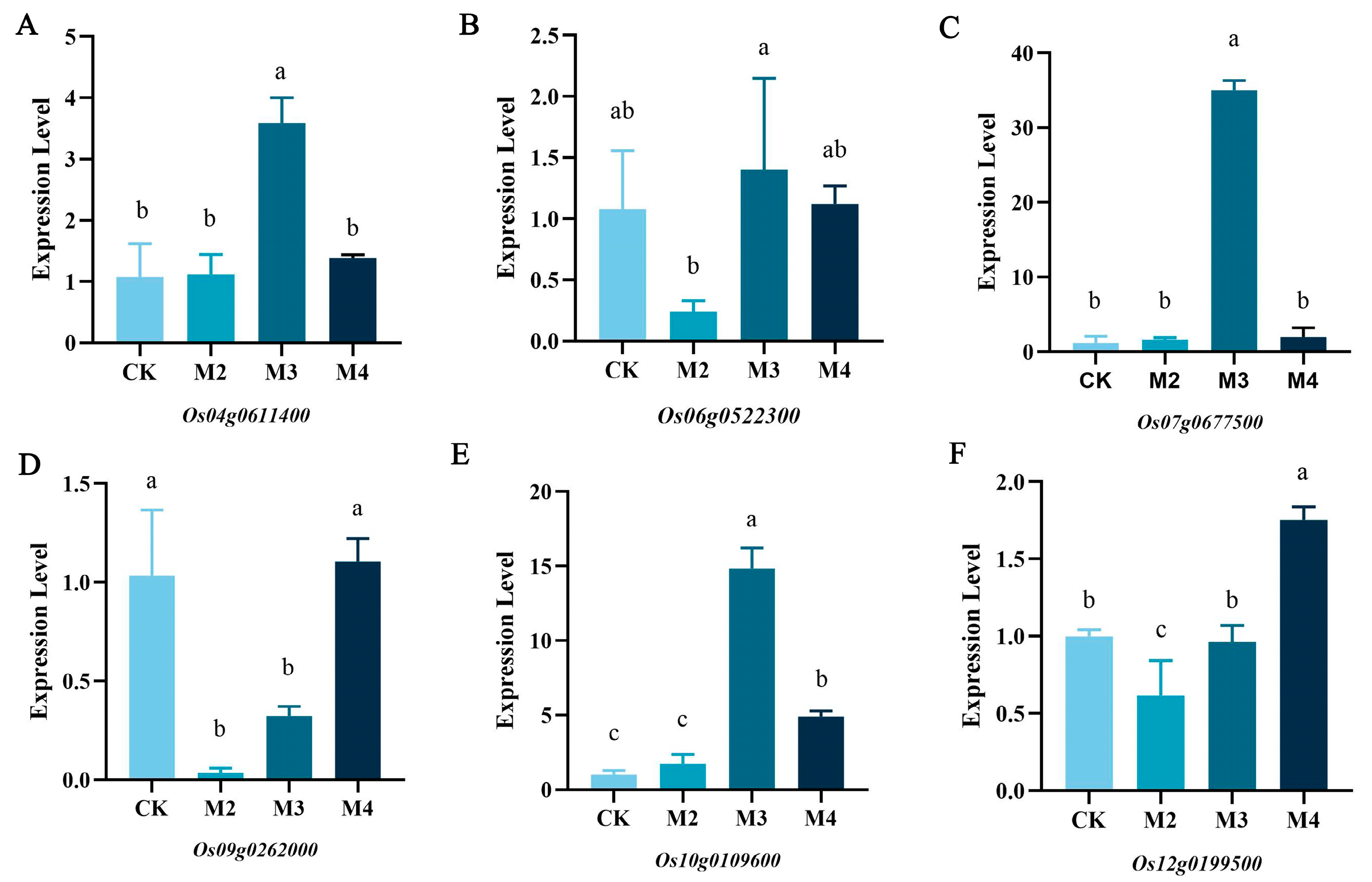 Plants 13 02517 g007