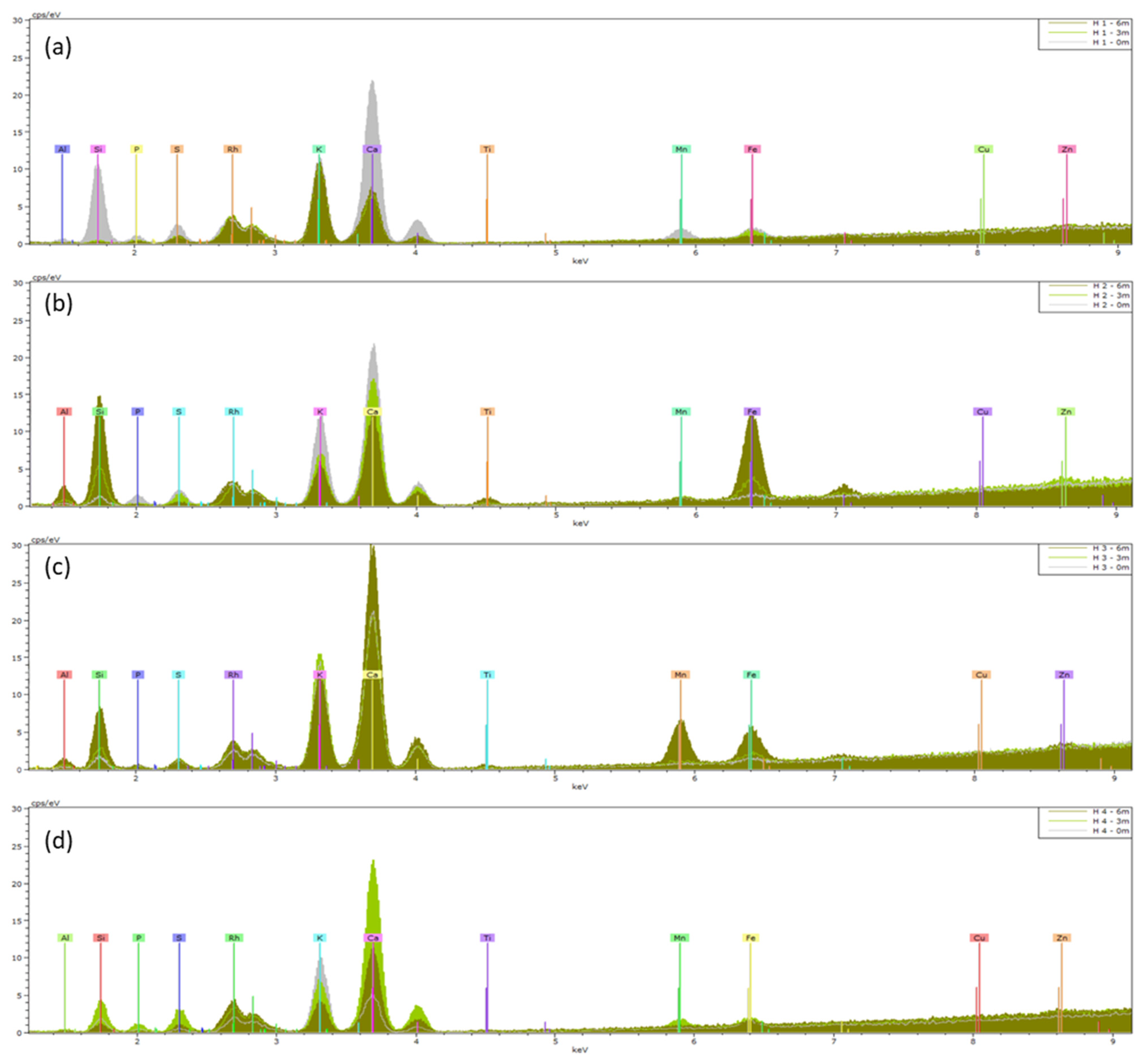 Plants 13 02519 g004
