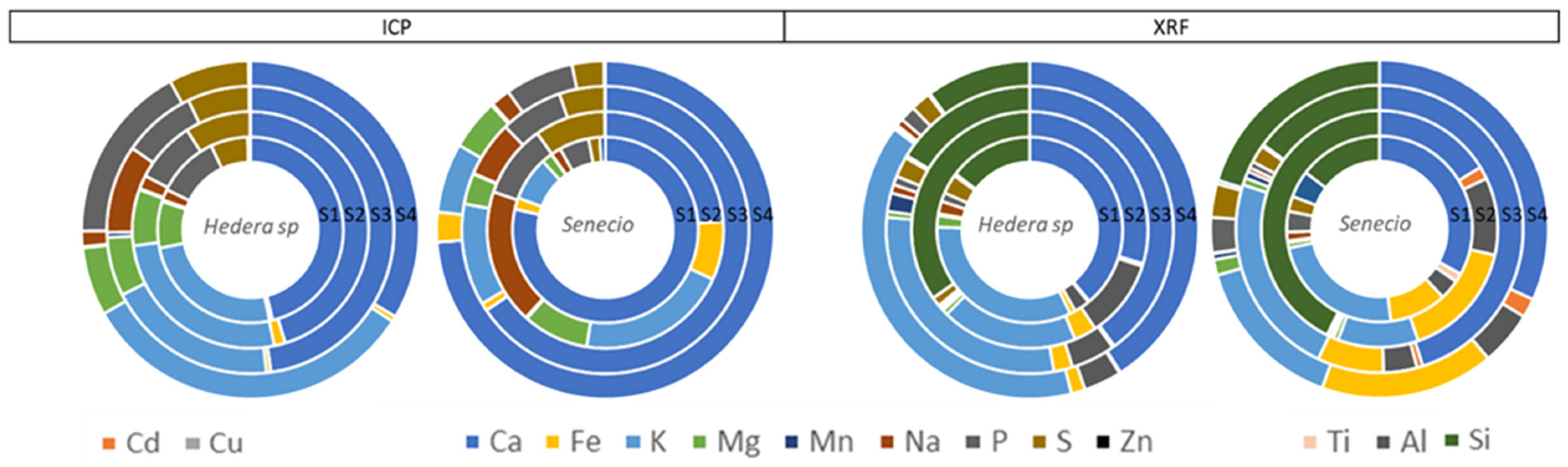 Plants 13 02519 g007