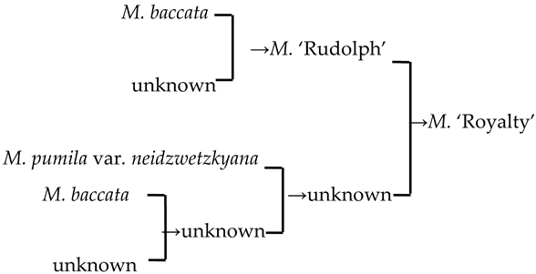 Plants 13 02522 i021