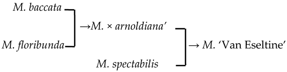 Plants 13 02522 i027