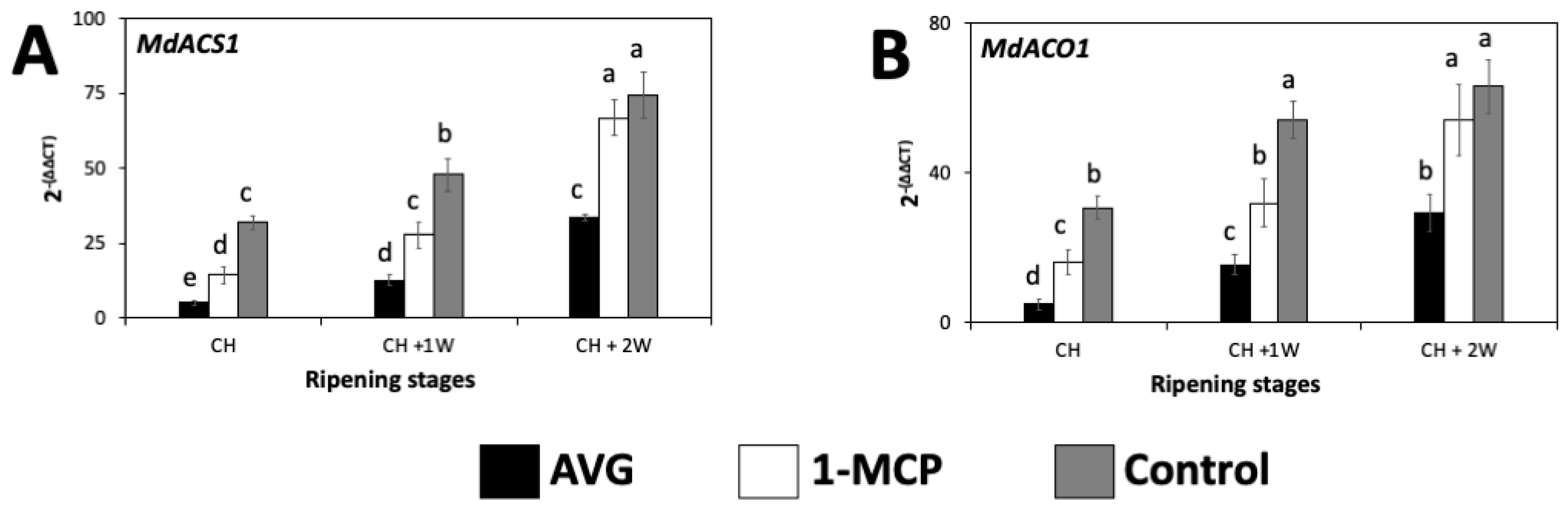 Plants 13 02524 g002