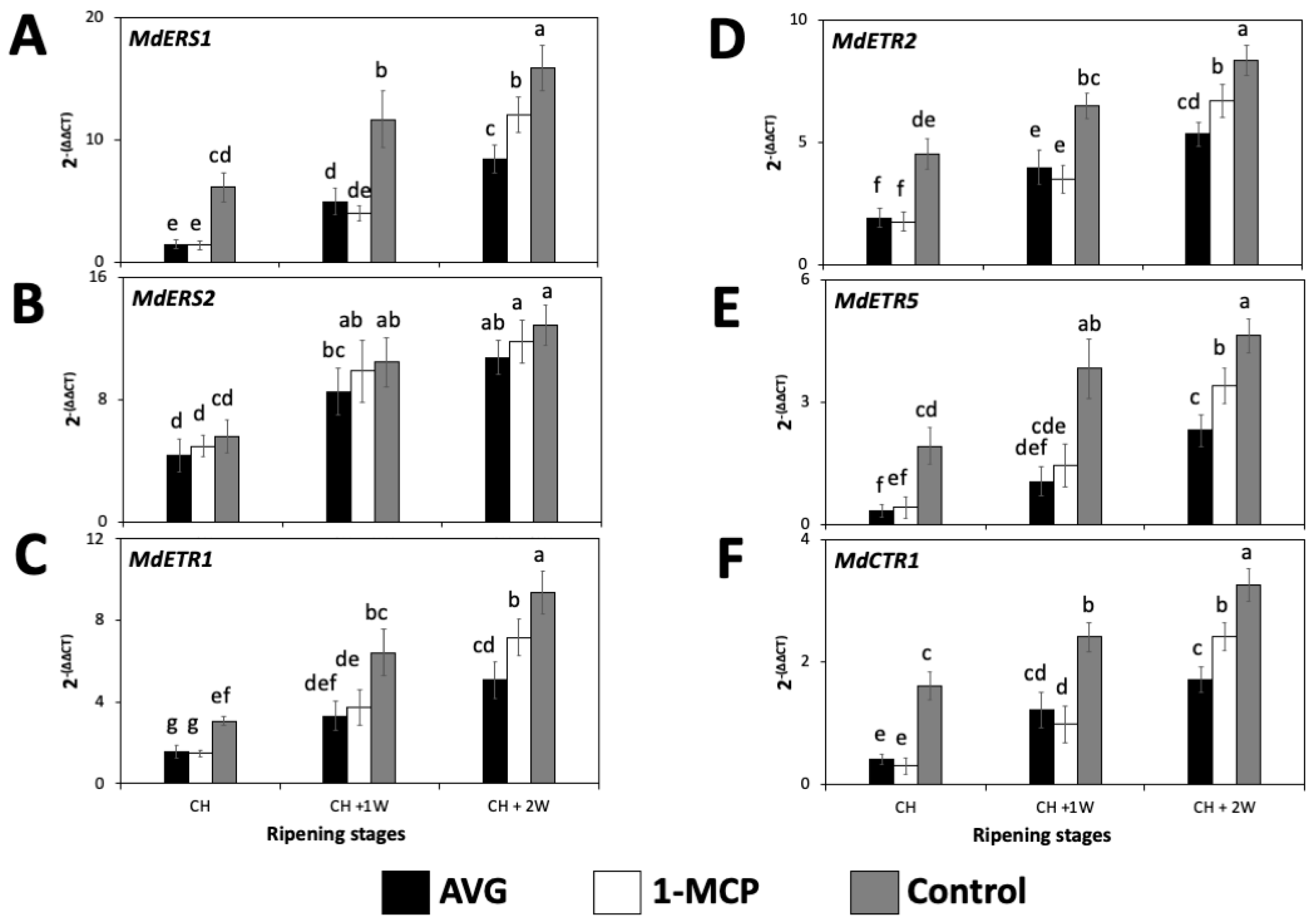 Plants 13 02524 g003