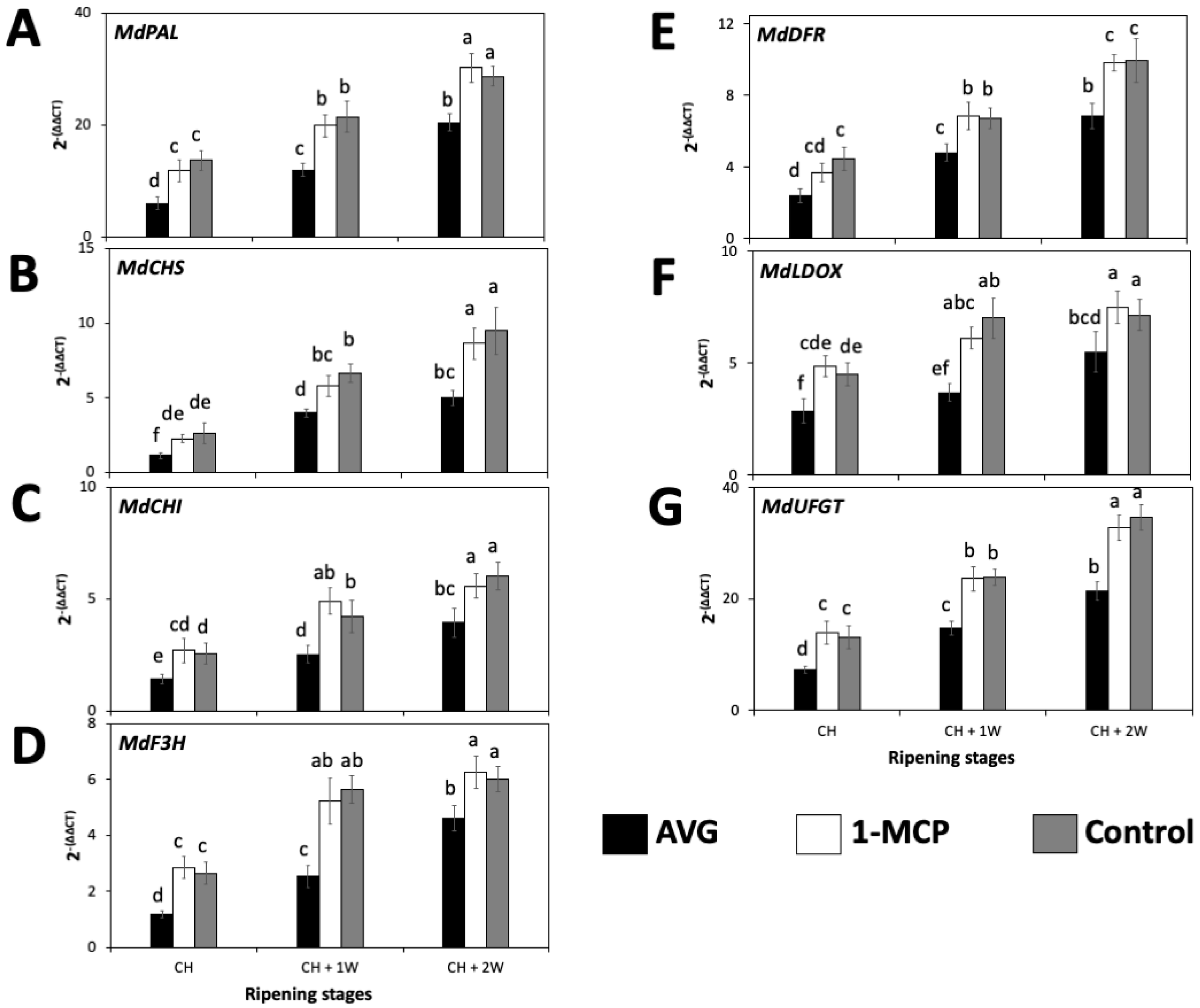 Plants 13 02524 g004