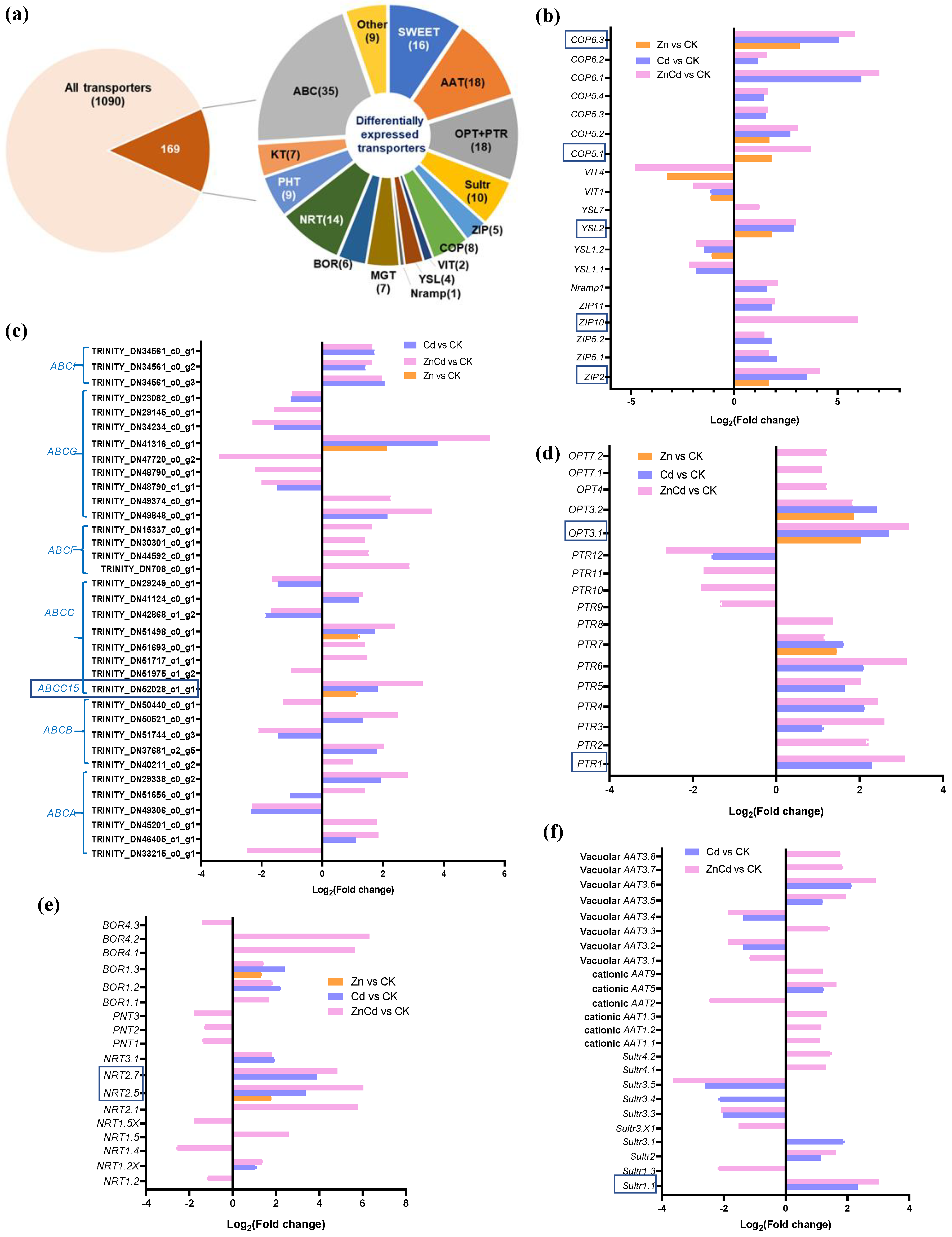 Plants 13 02528 g004