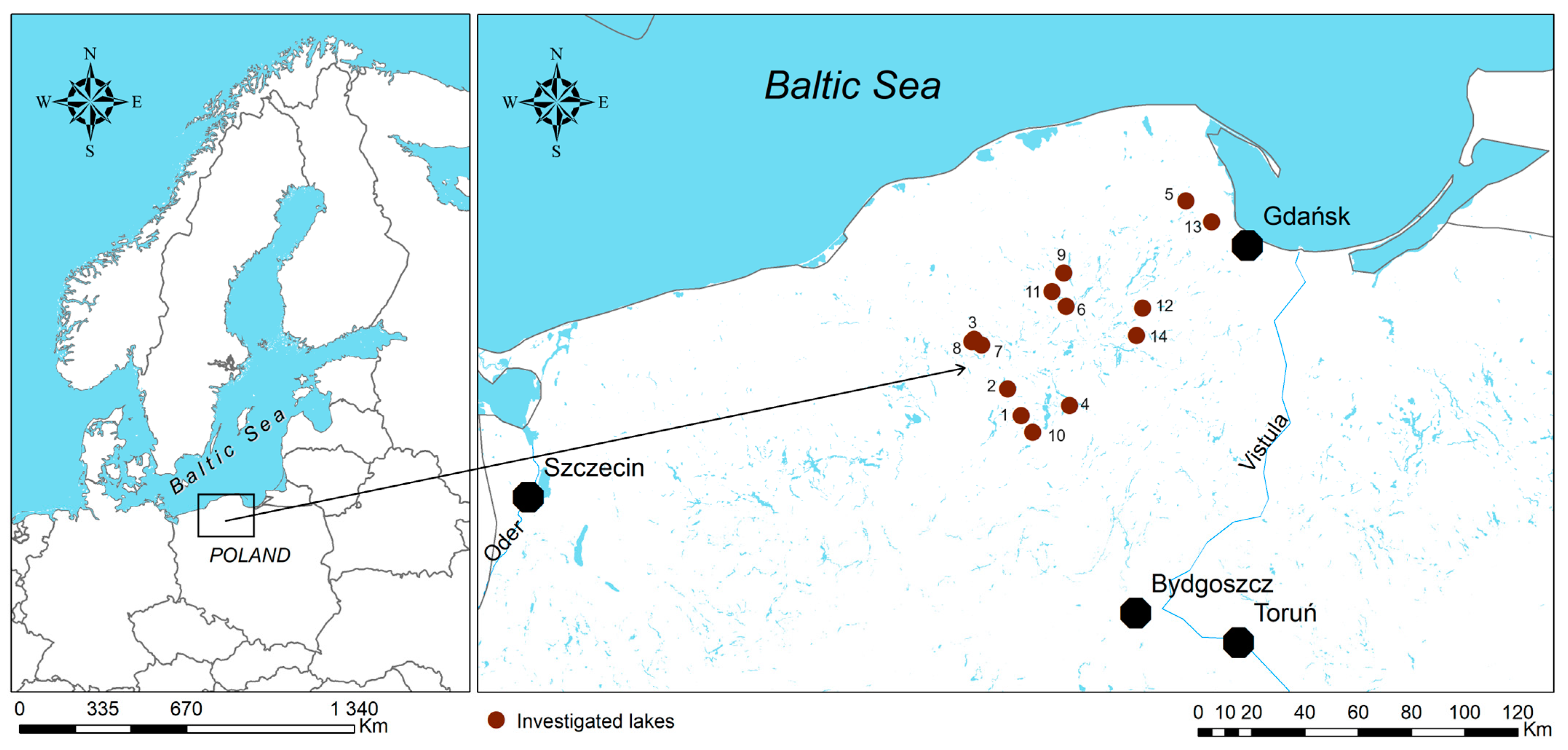 Plants 13 02529 g004