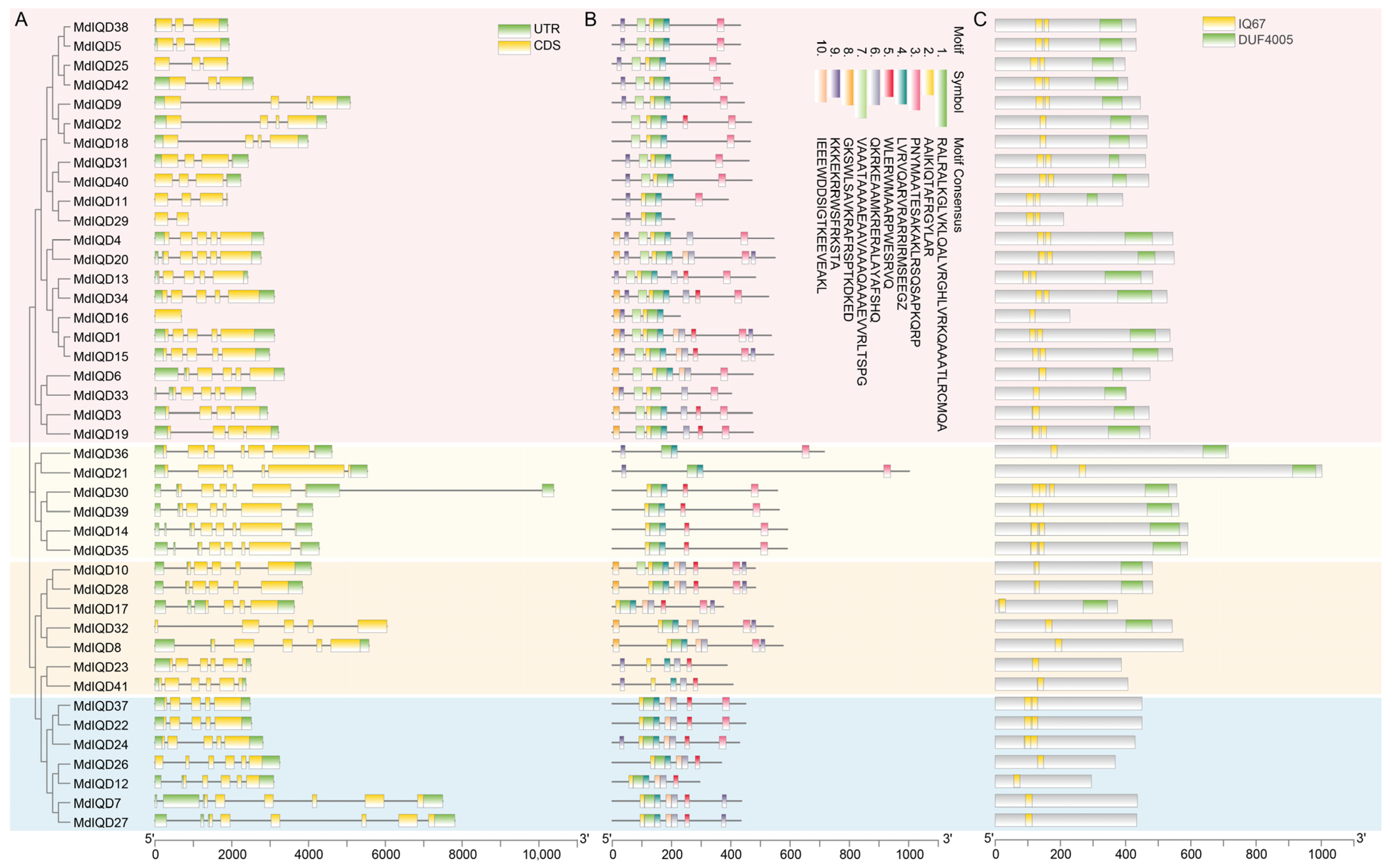 Plants 13 02532 g003