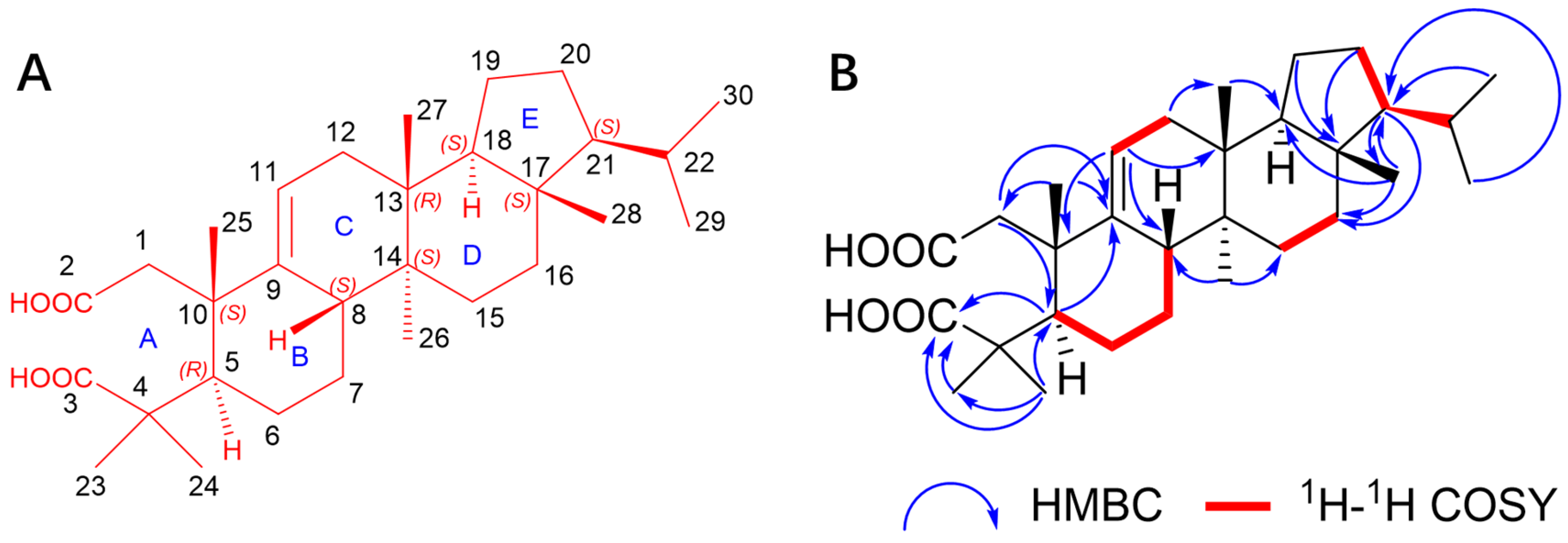 Plants 13 02533 g003 Plants 13 02533 g003