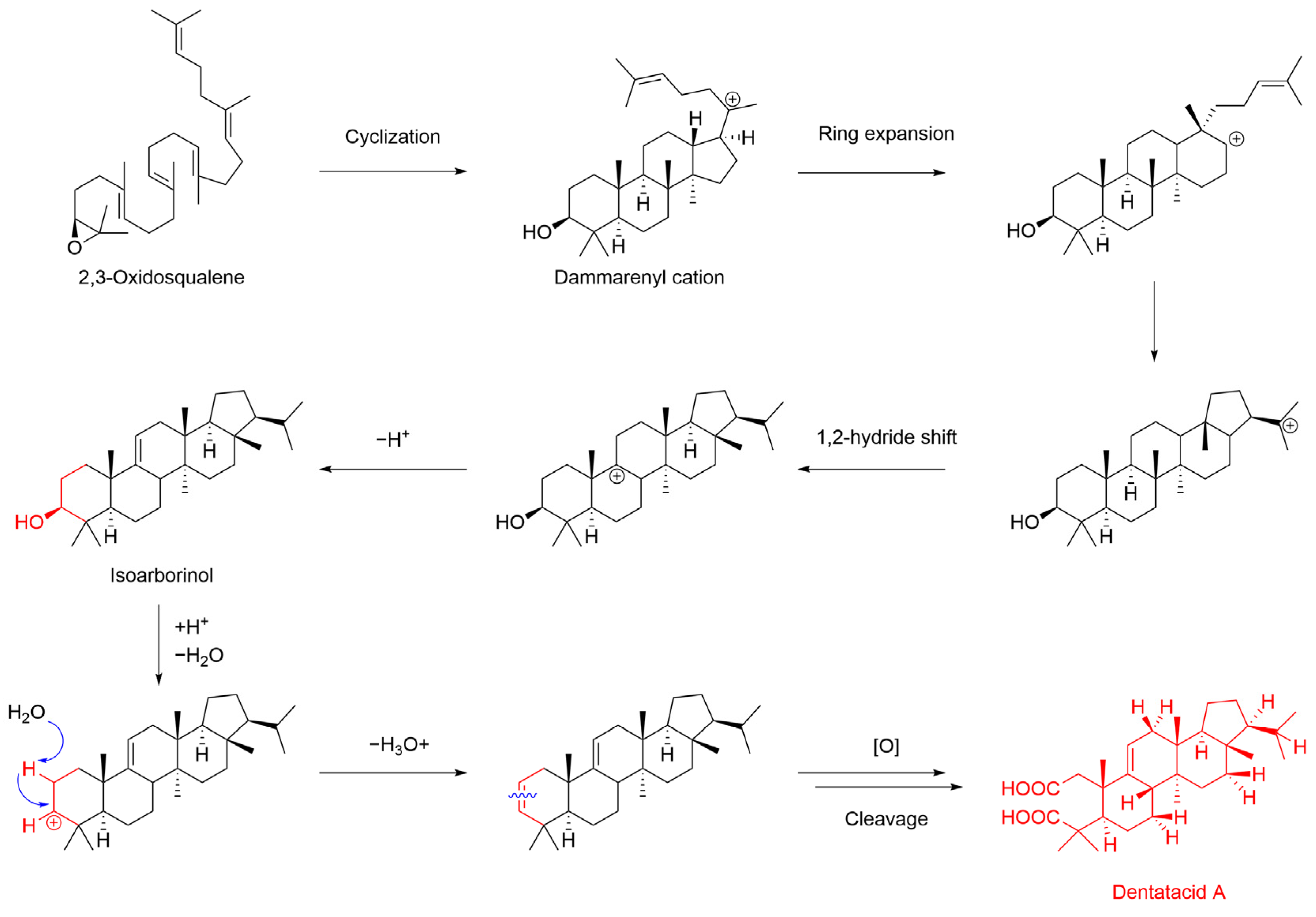 Plants 13 02533 g006 Plants 13 02533 g006