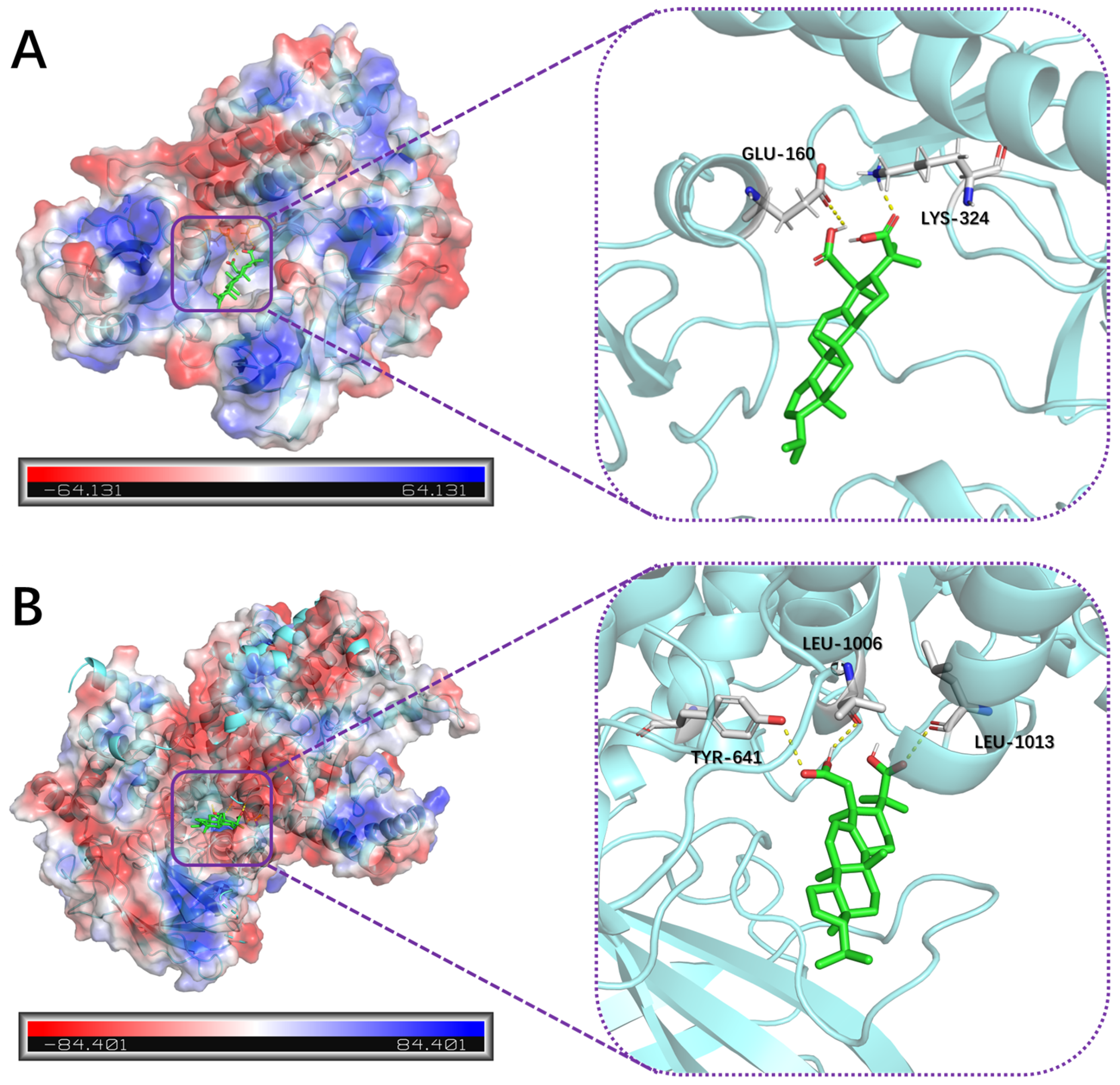Plants 13 02533 g008 Plants 13 02533 g008