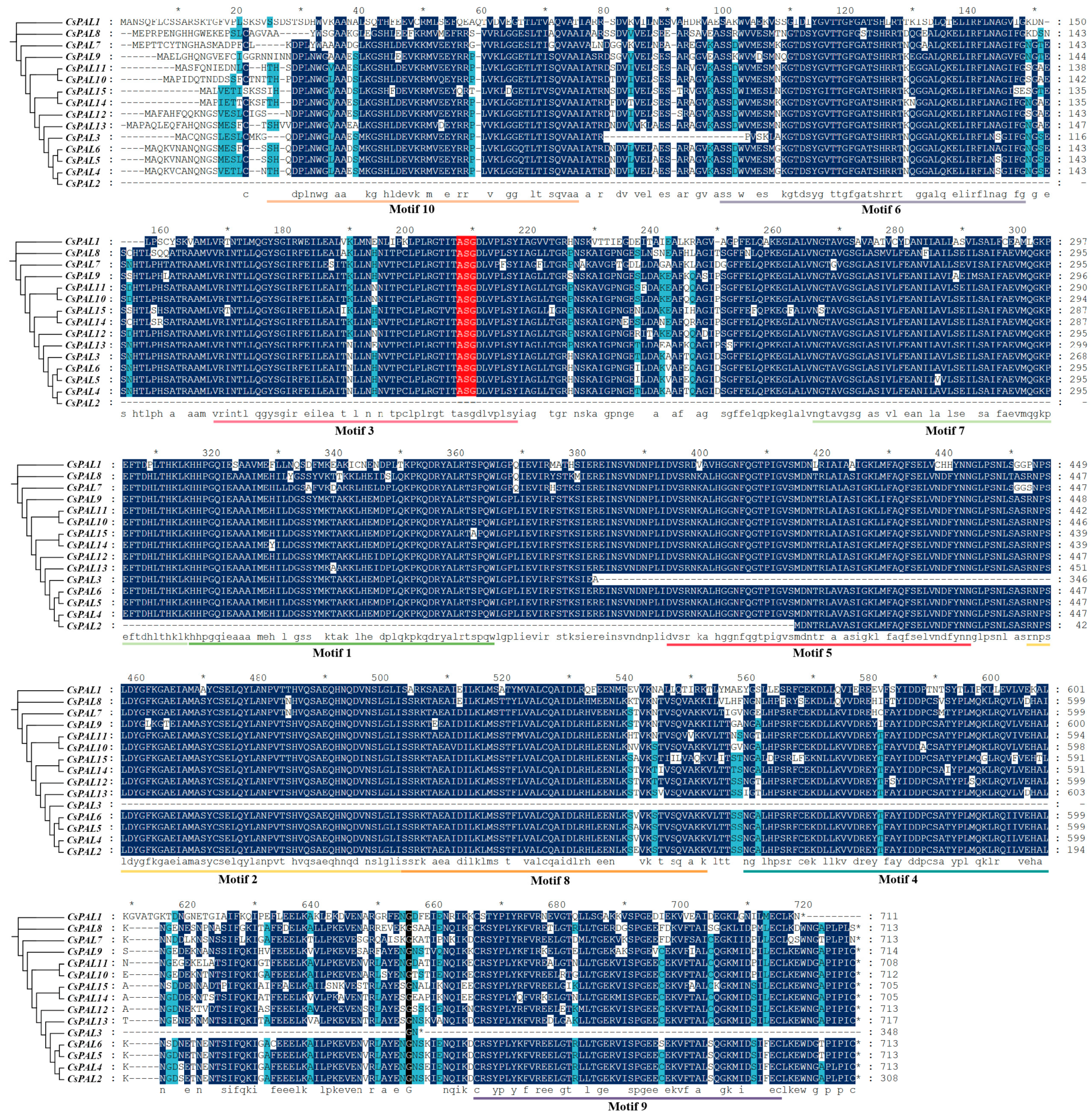 Plants 13 02537 g002