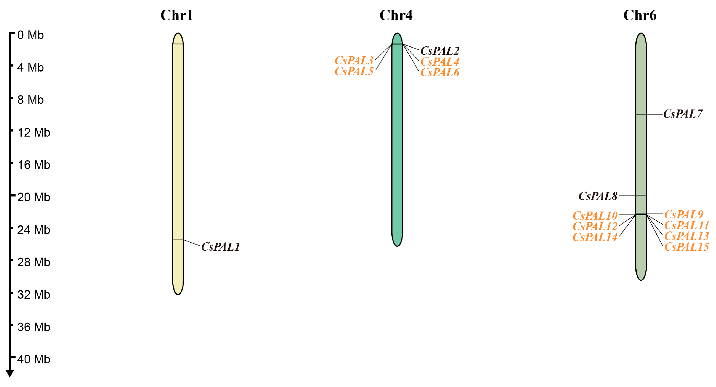Plants 13 02537 g004