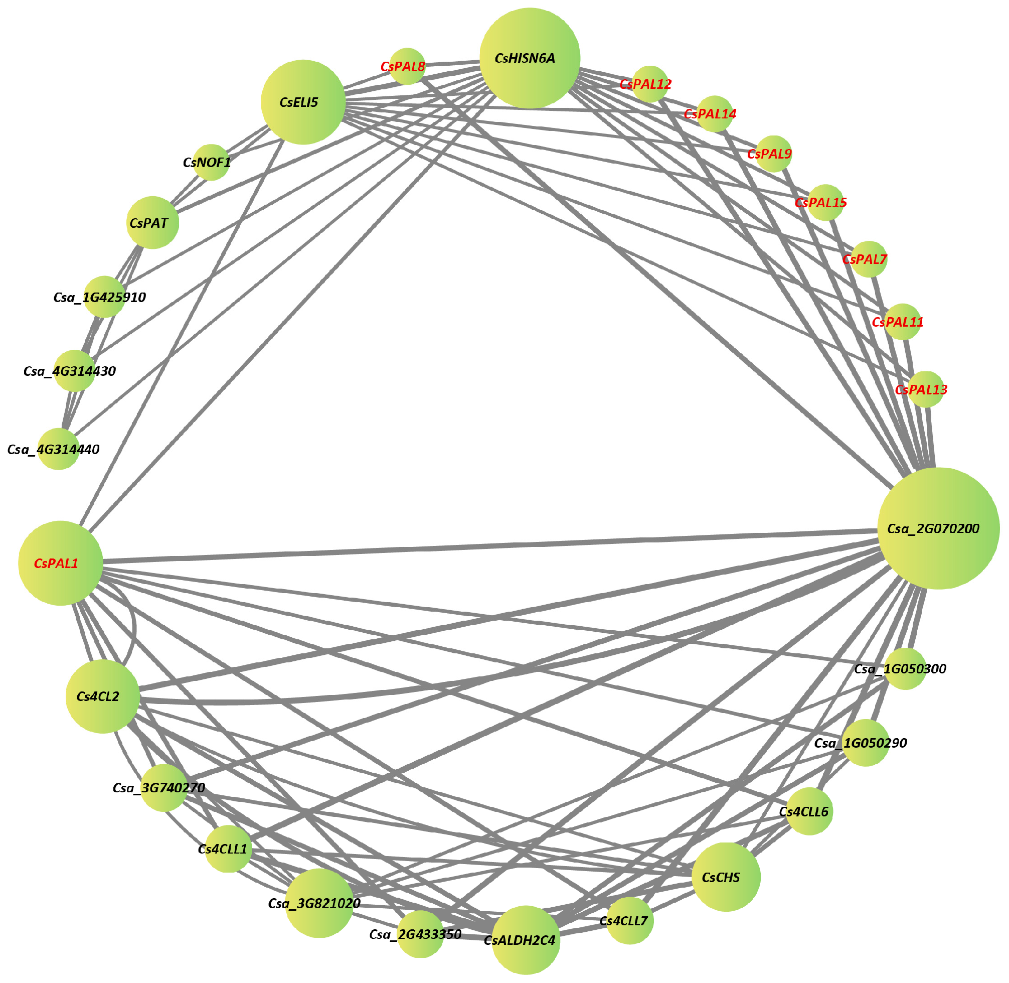 Plants 13 02537 g005