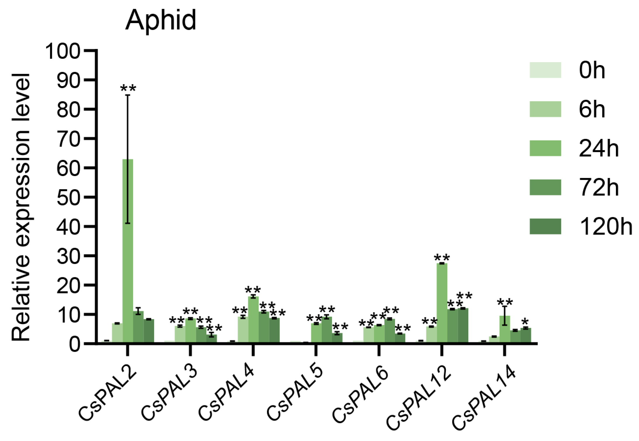 Plants 13 02537 g008