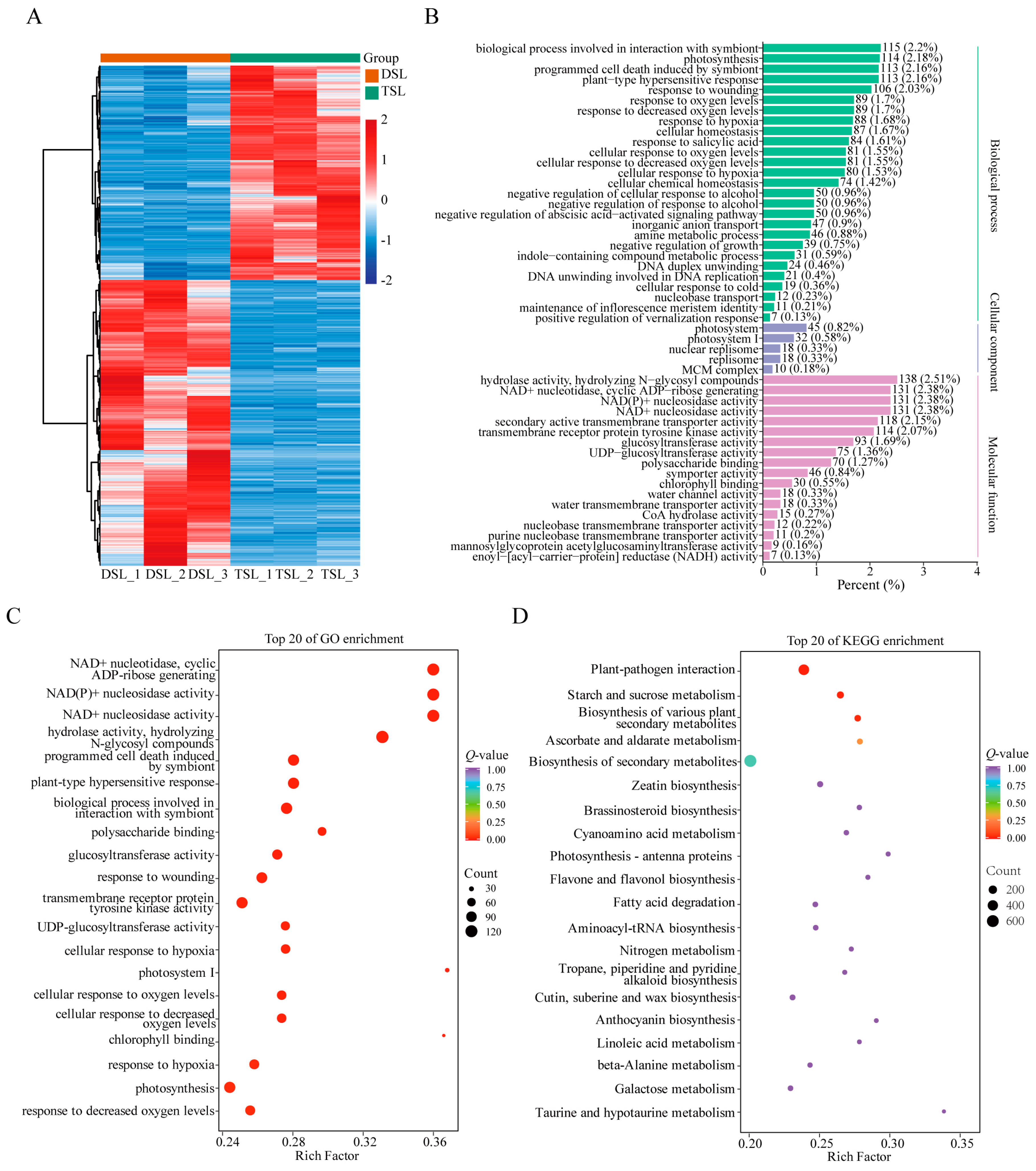 Plants 13 02542 g002