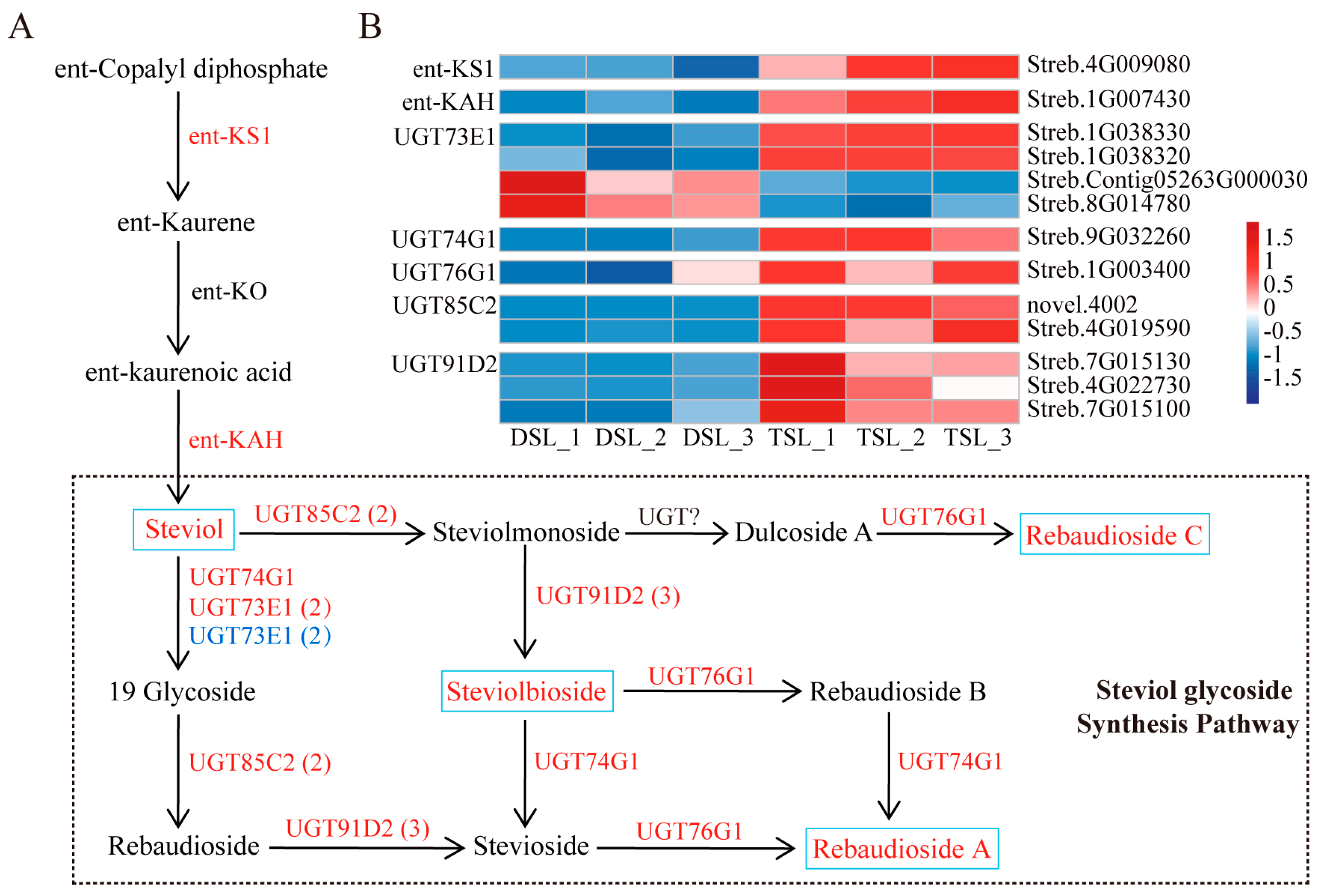Plants 13 02542 g003