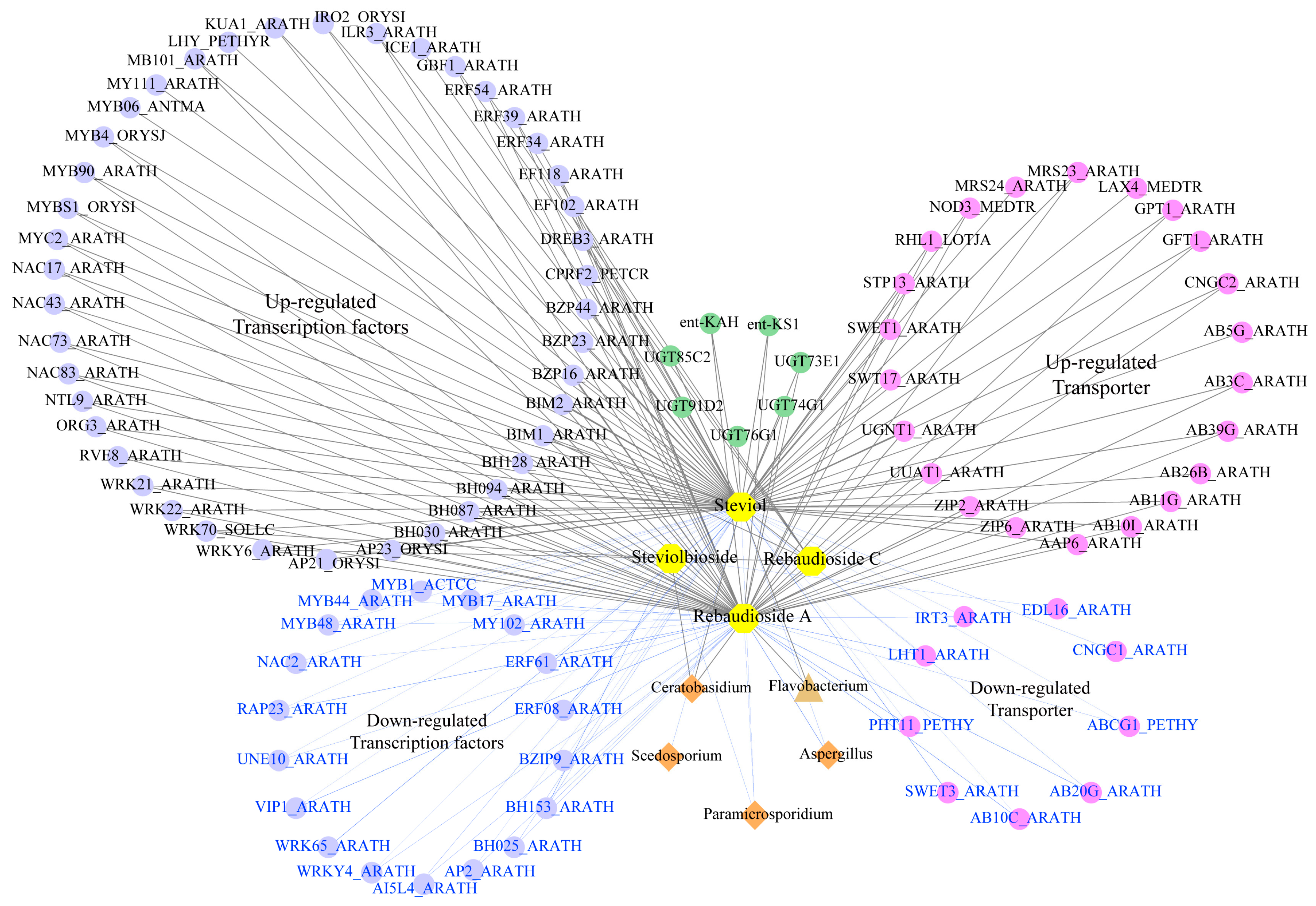 Plants 13 02542 g005