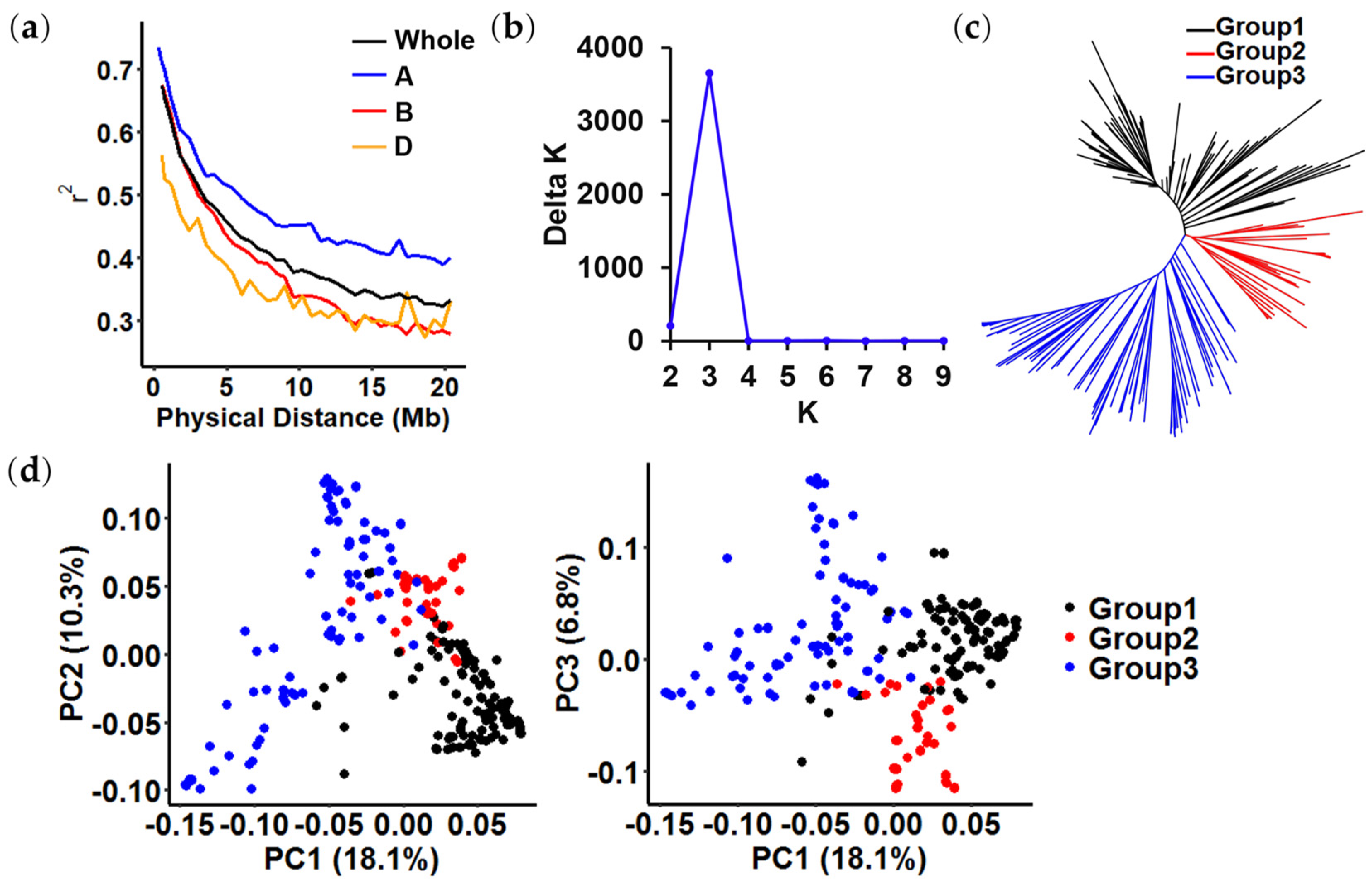 Plants 13 02545 g002