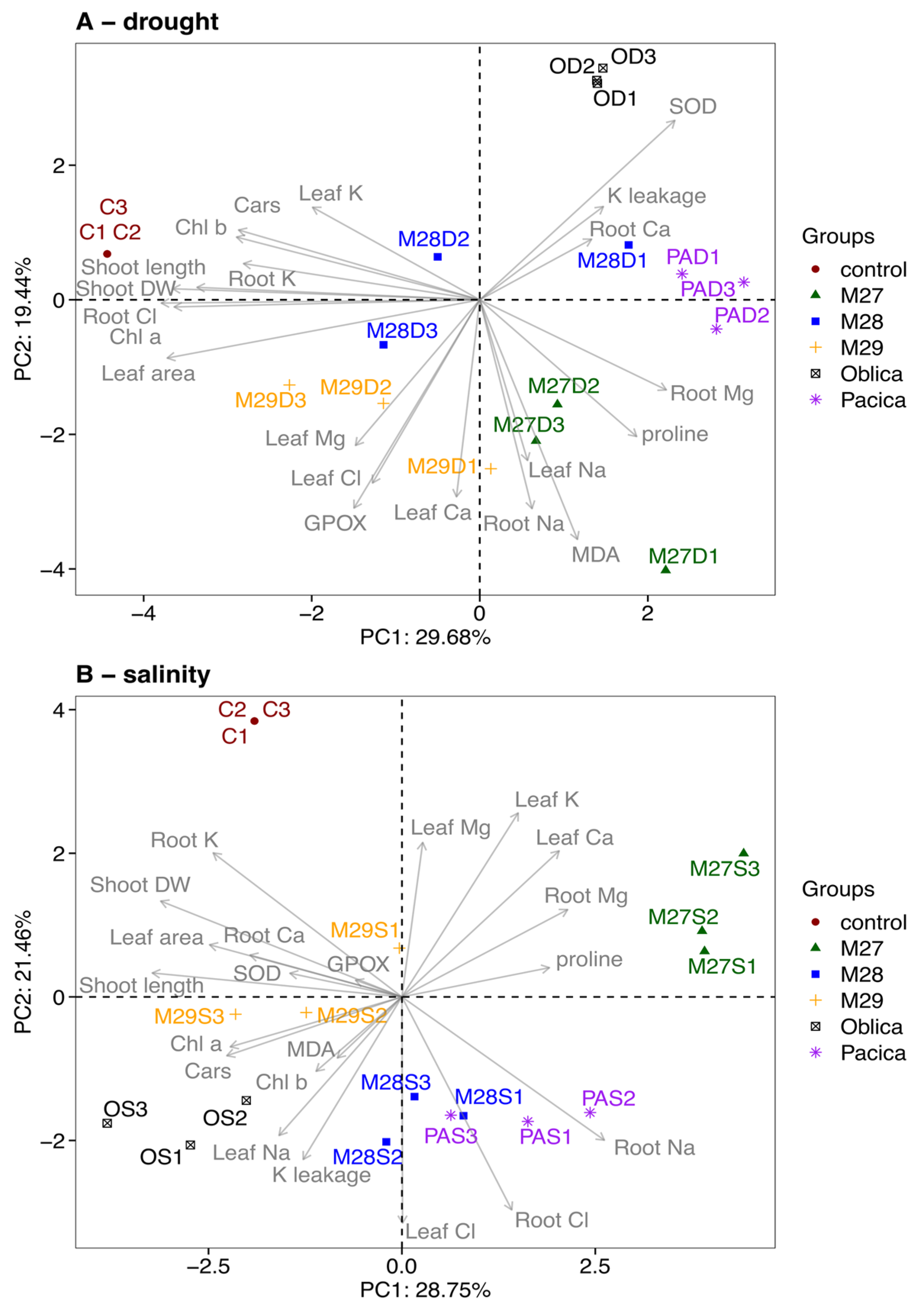 Plants 13 02549 g004 Plants 13 02549 g004