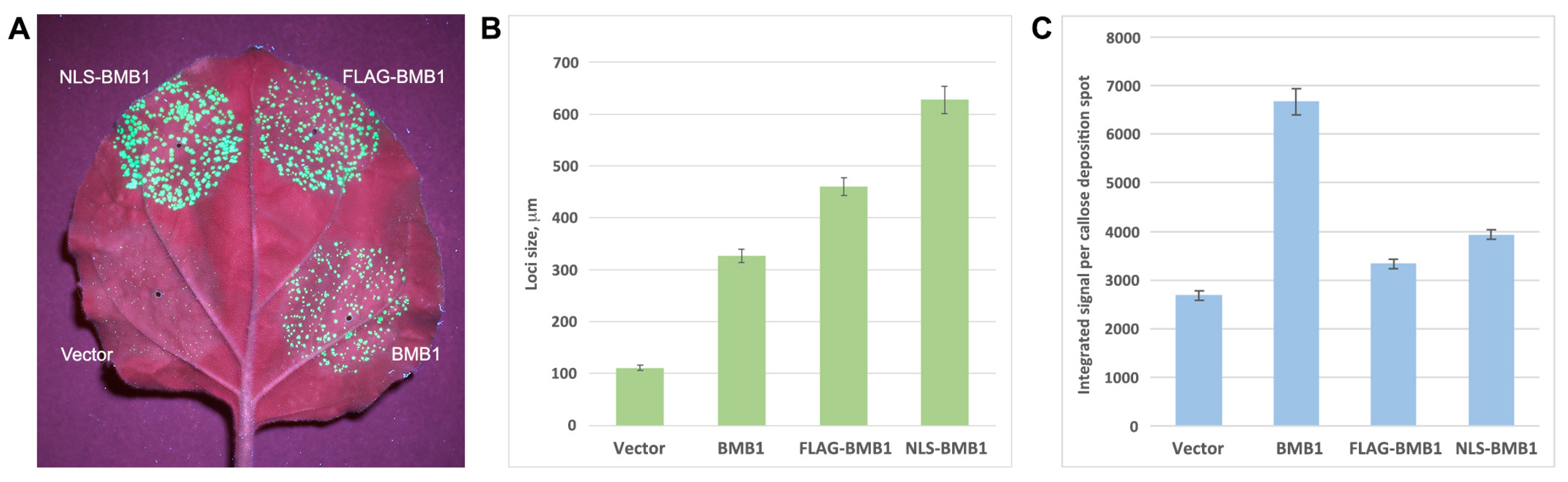 Plants 13 02550 g005