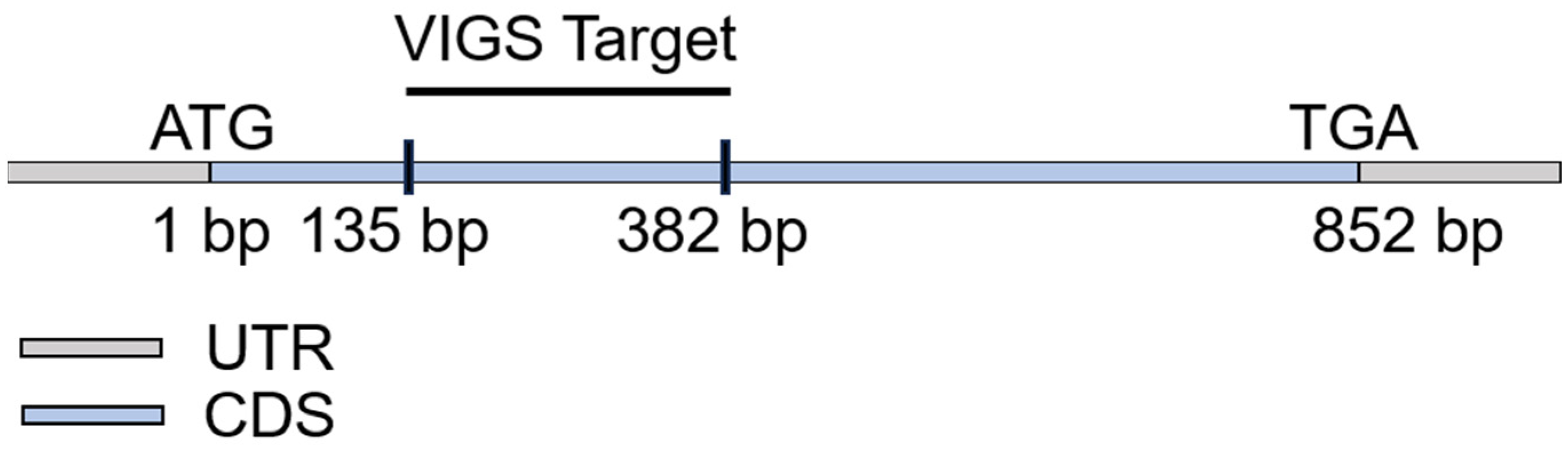 Plants 13 02552 g008