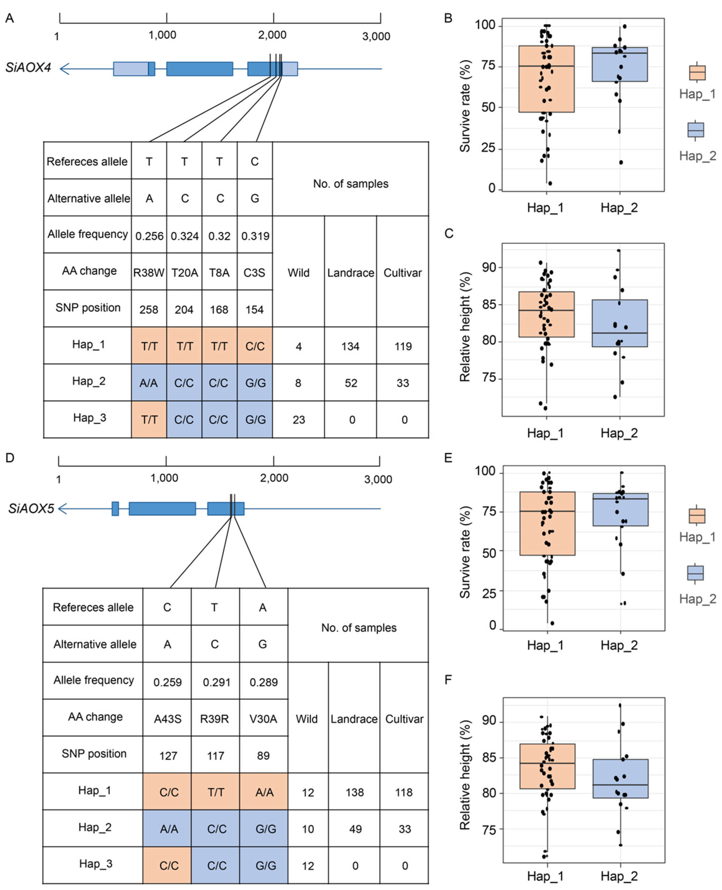 Plants 13 02565 g008