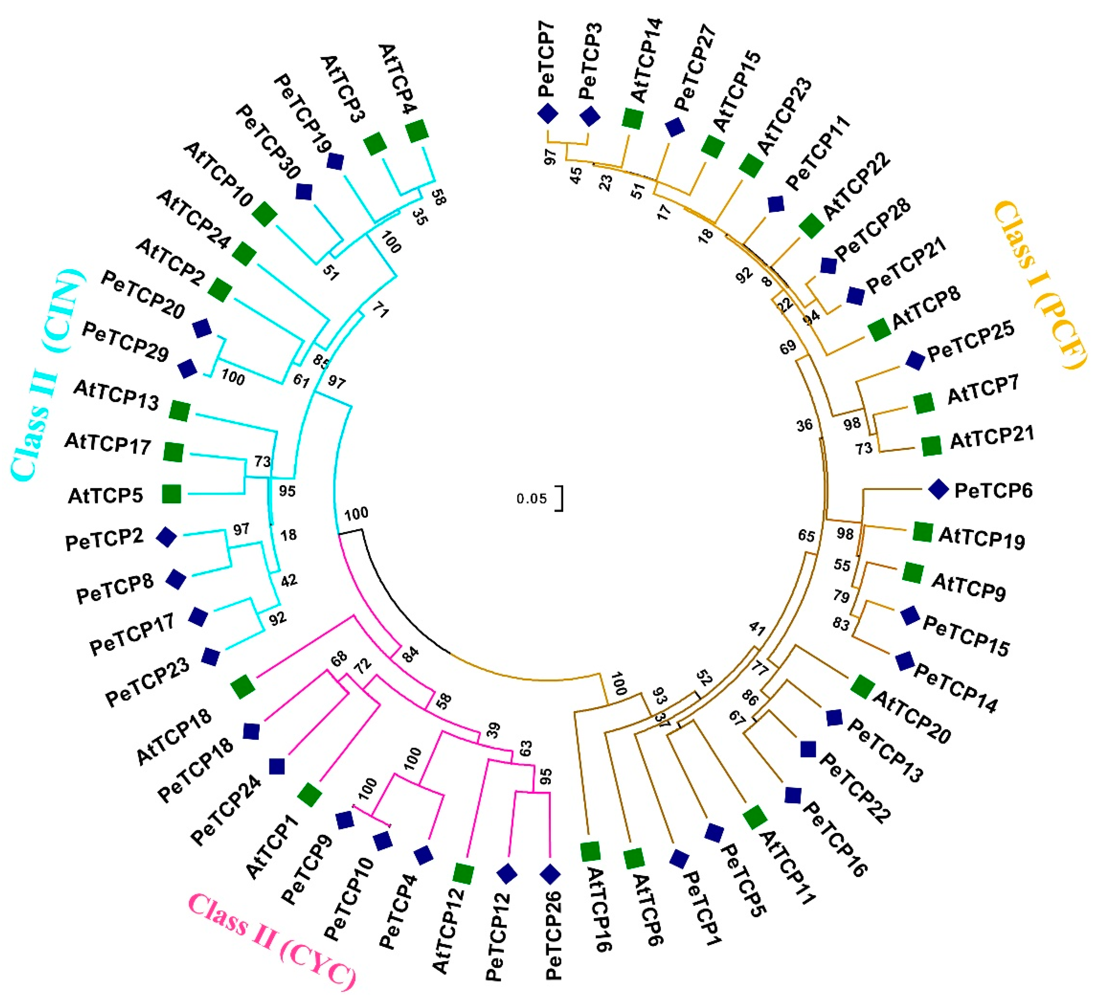 Plants 13 02568 g001