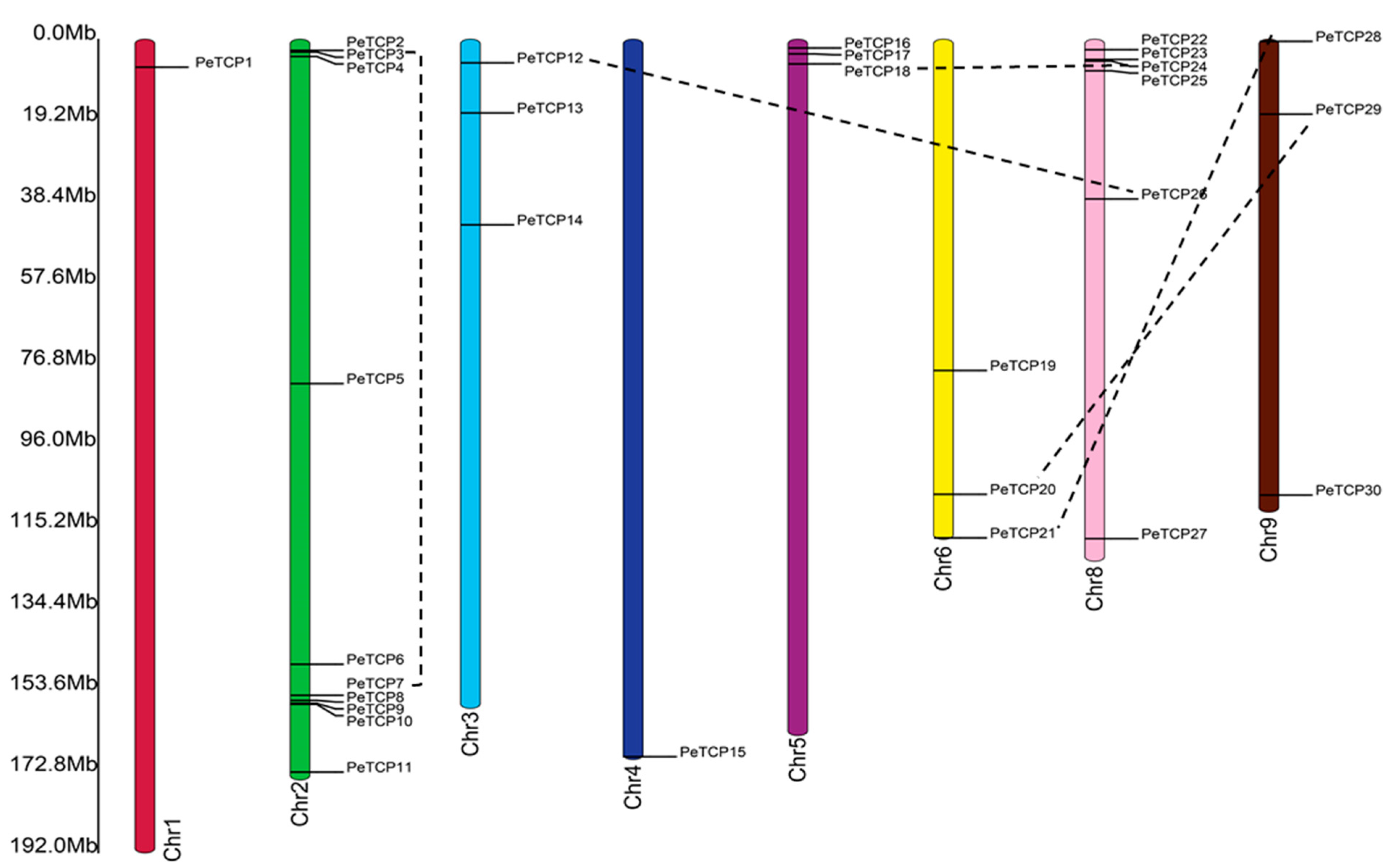 Plants 13 02568 g005