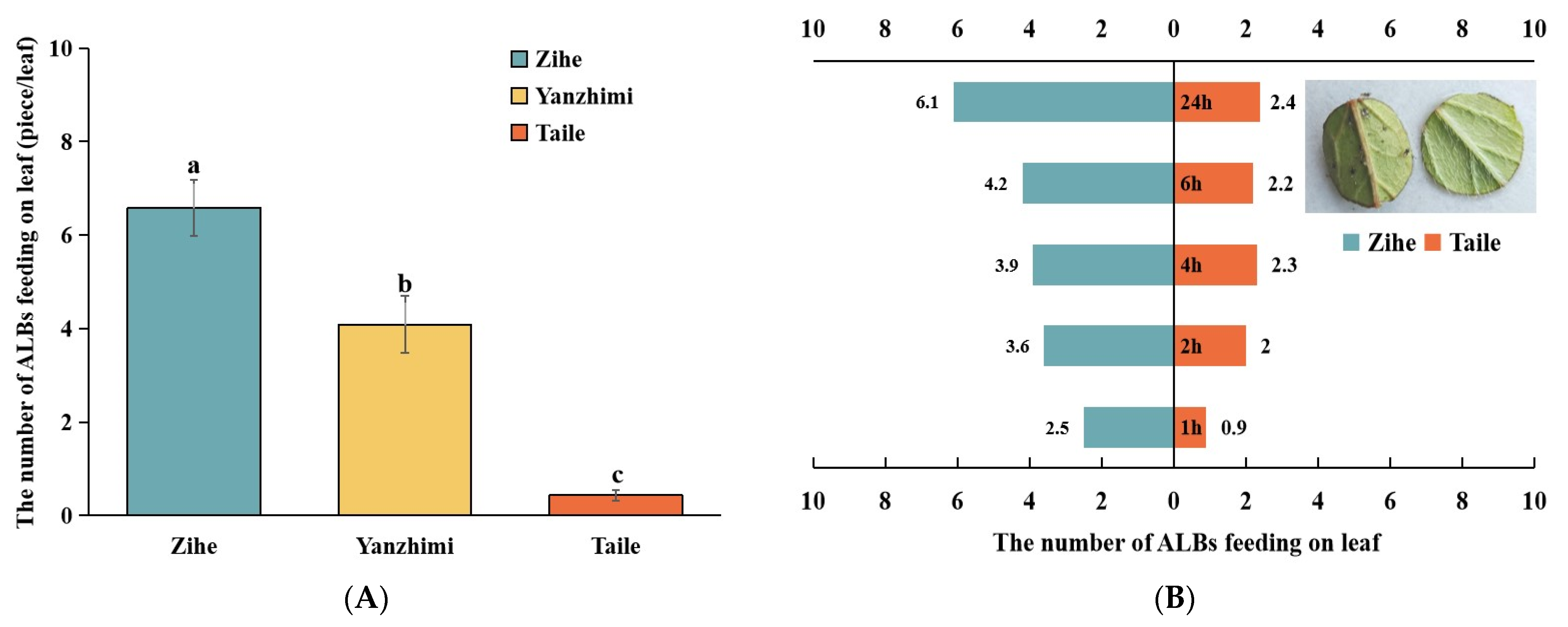 Plants 13 02569 g001a
