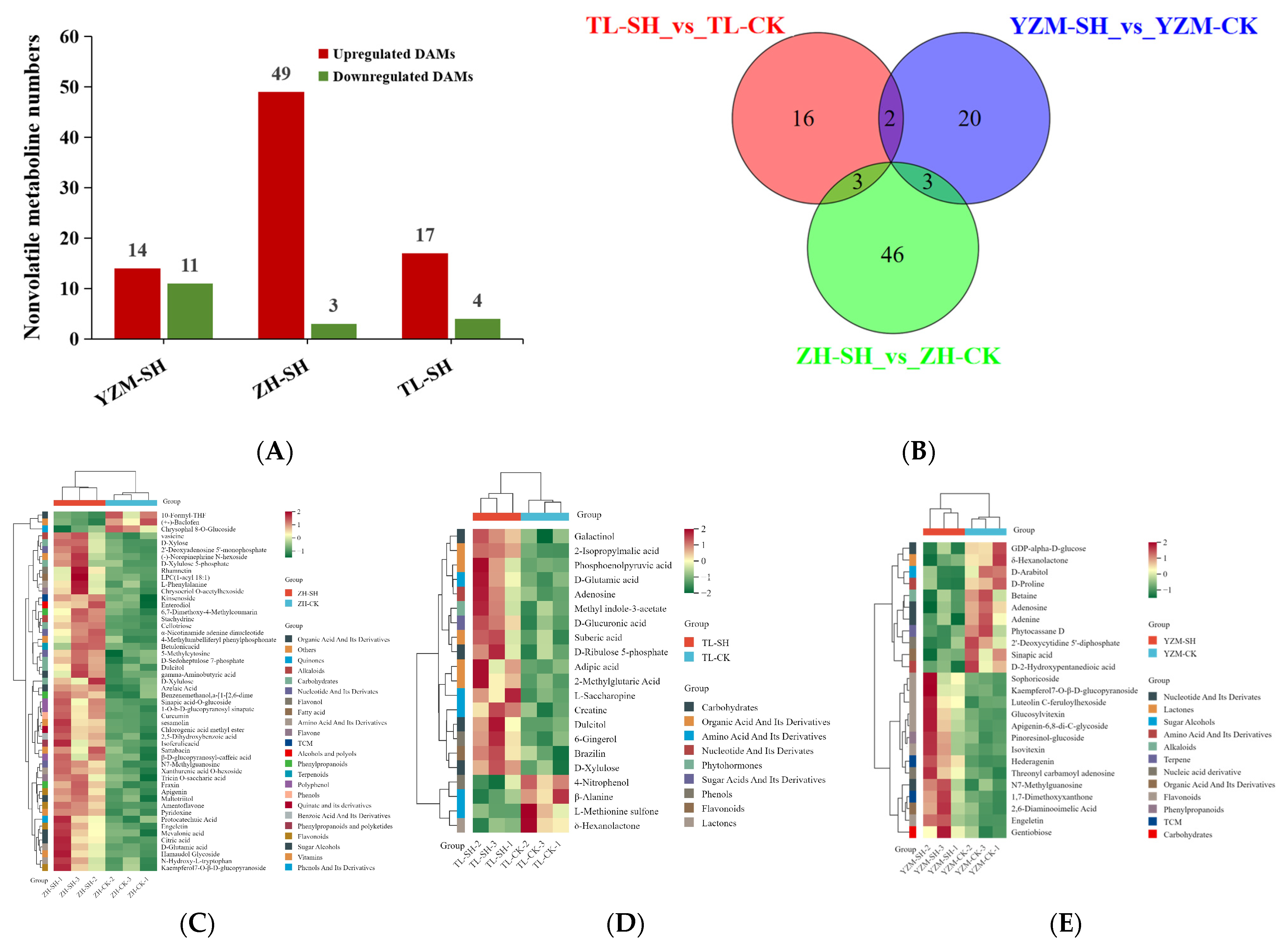 Plants 13 02569 g004