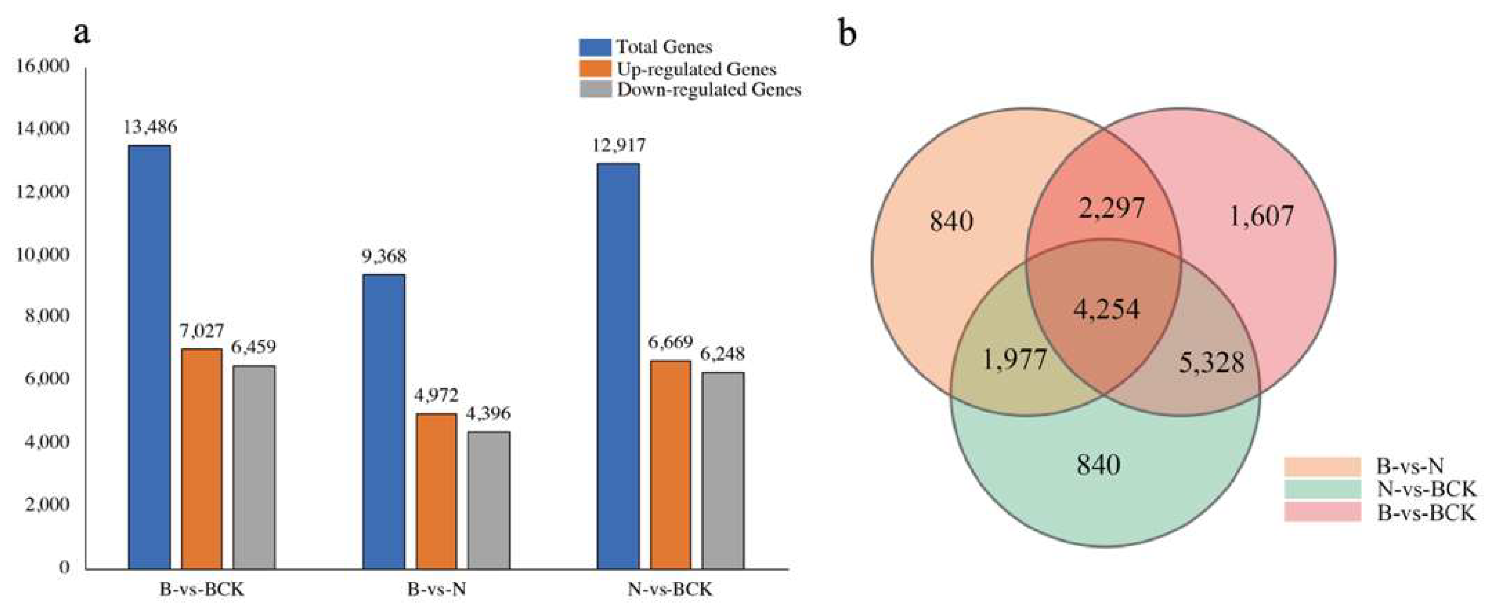 Plants 13 02571 g005