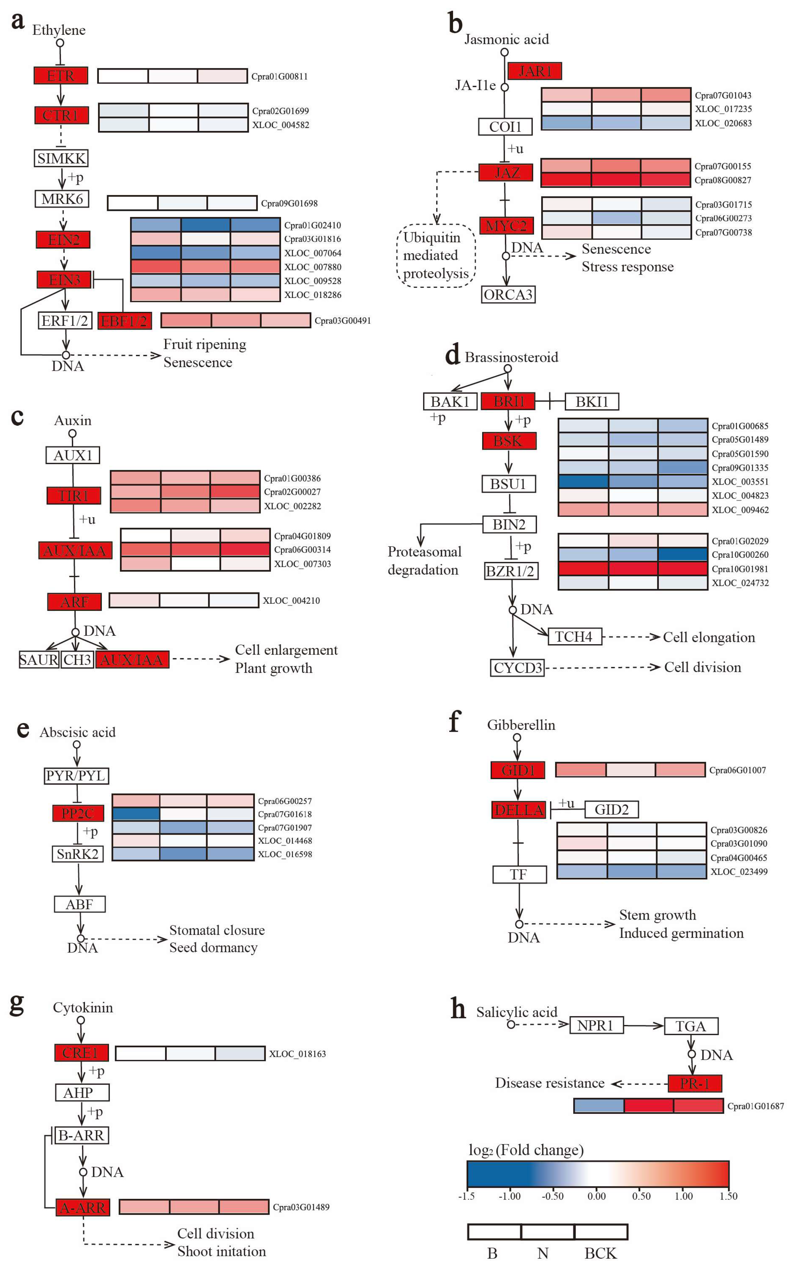 Plants 13 02571 g009