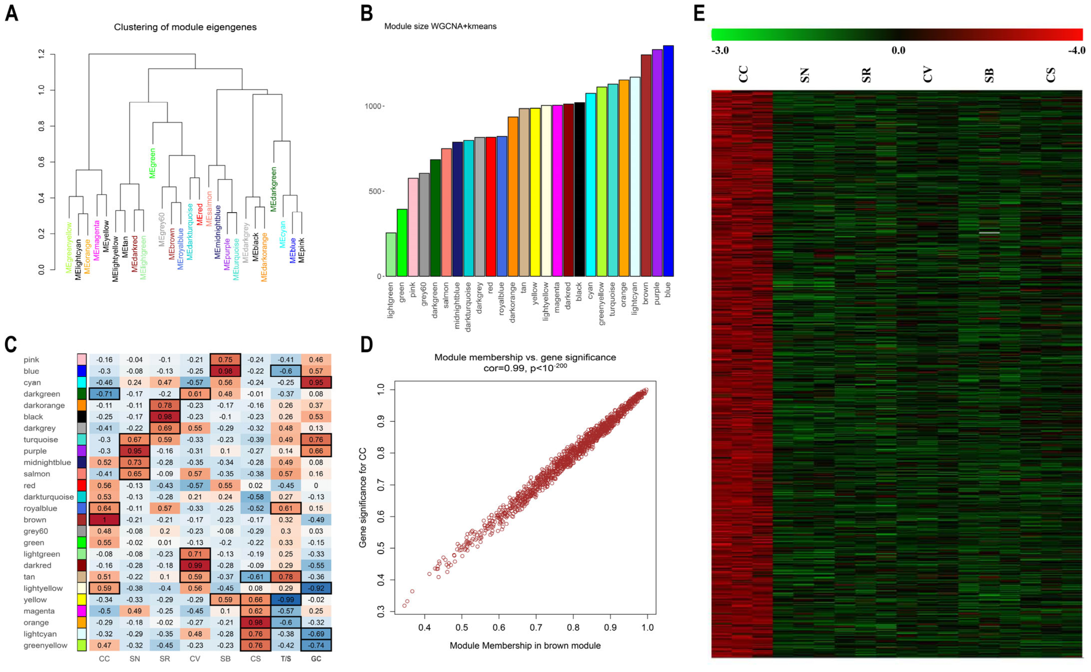 Plants 13 02574 g002