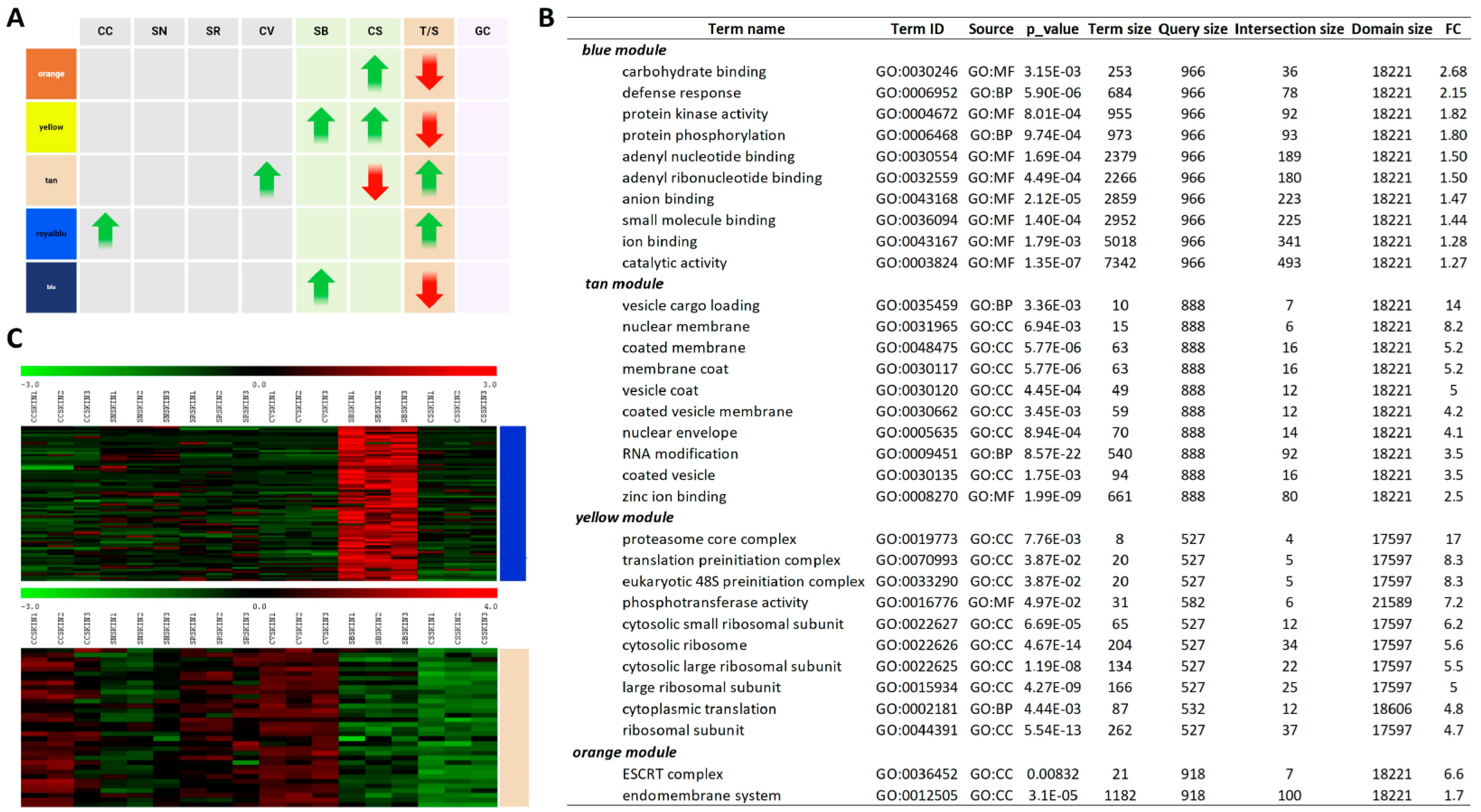 Plants 13 02574 g003