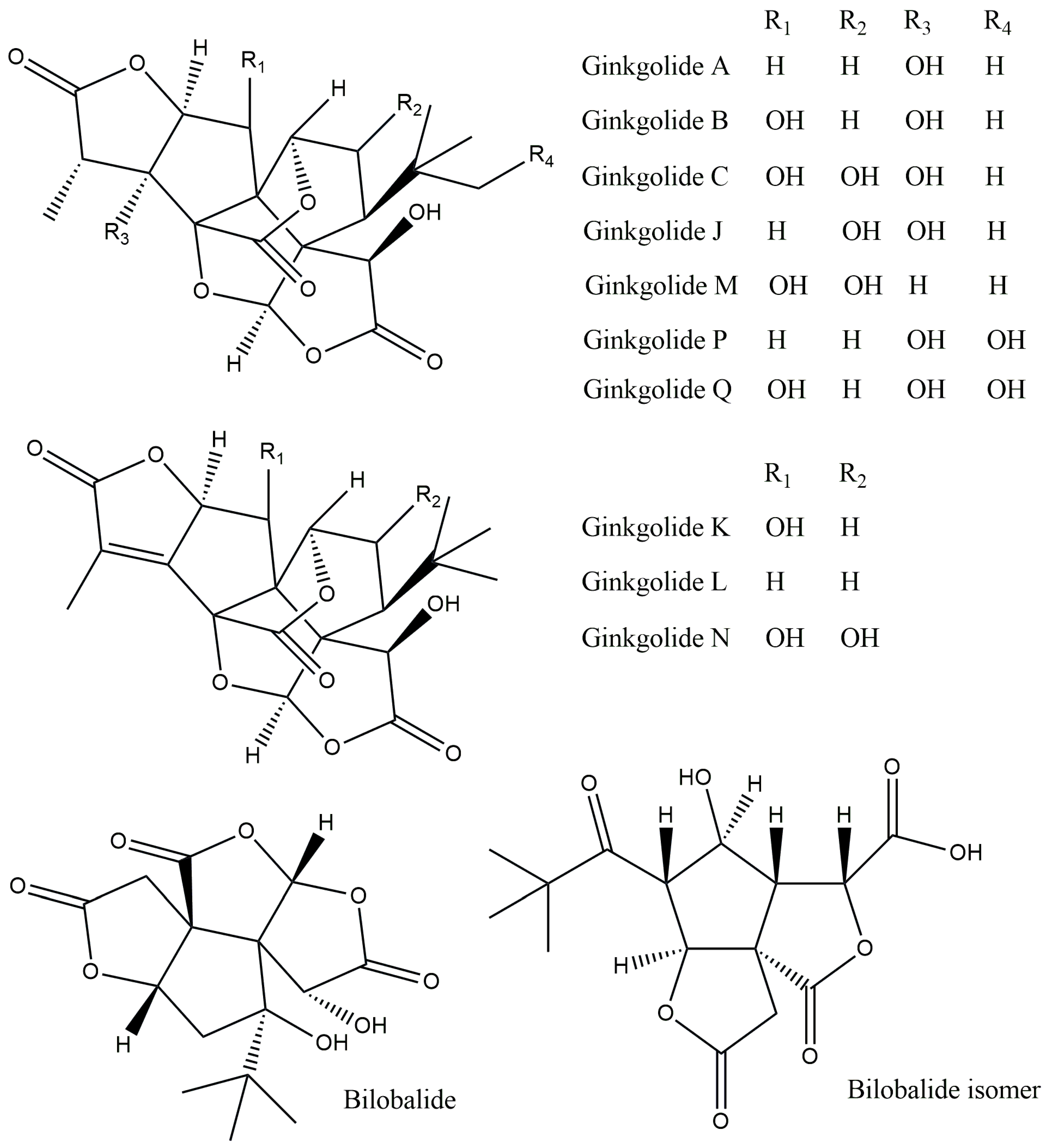 Plants 13 02575 g002