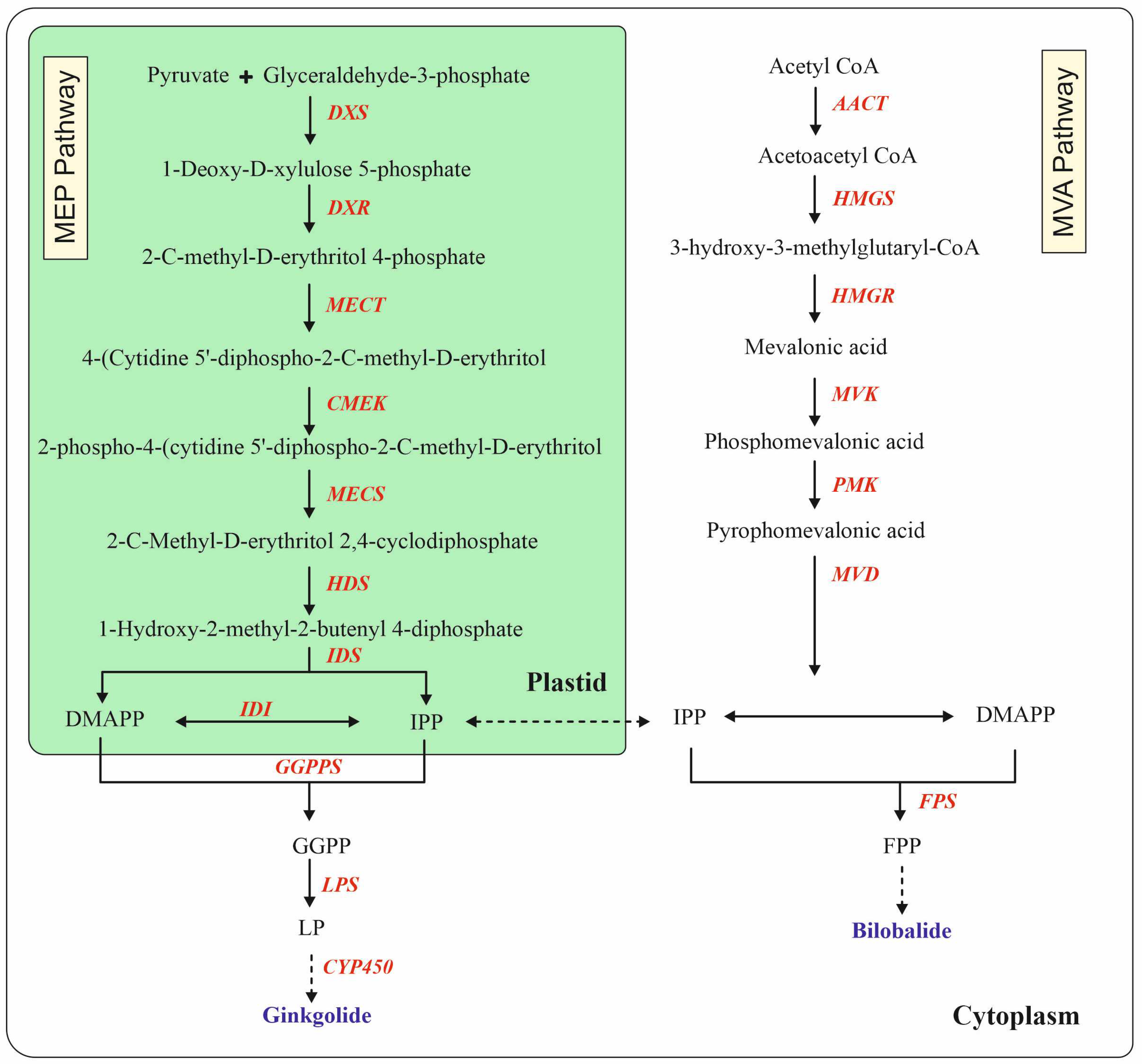 Plants 13 02575 g003