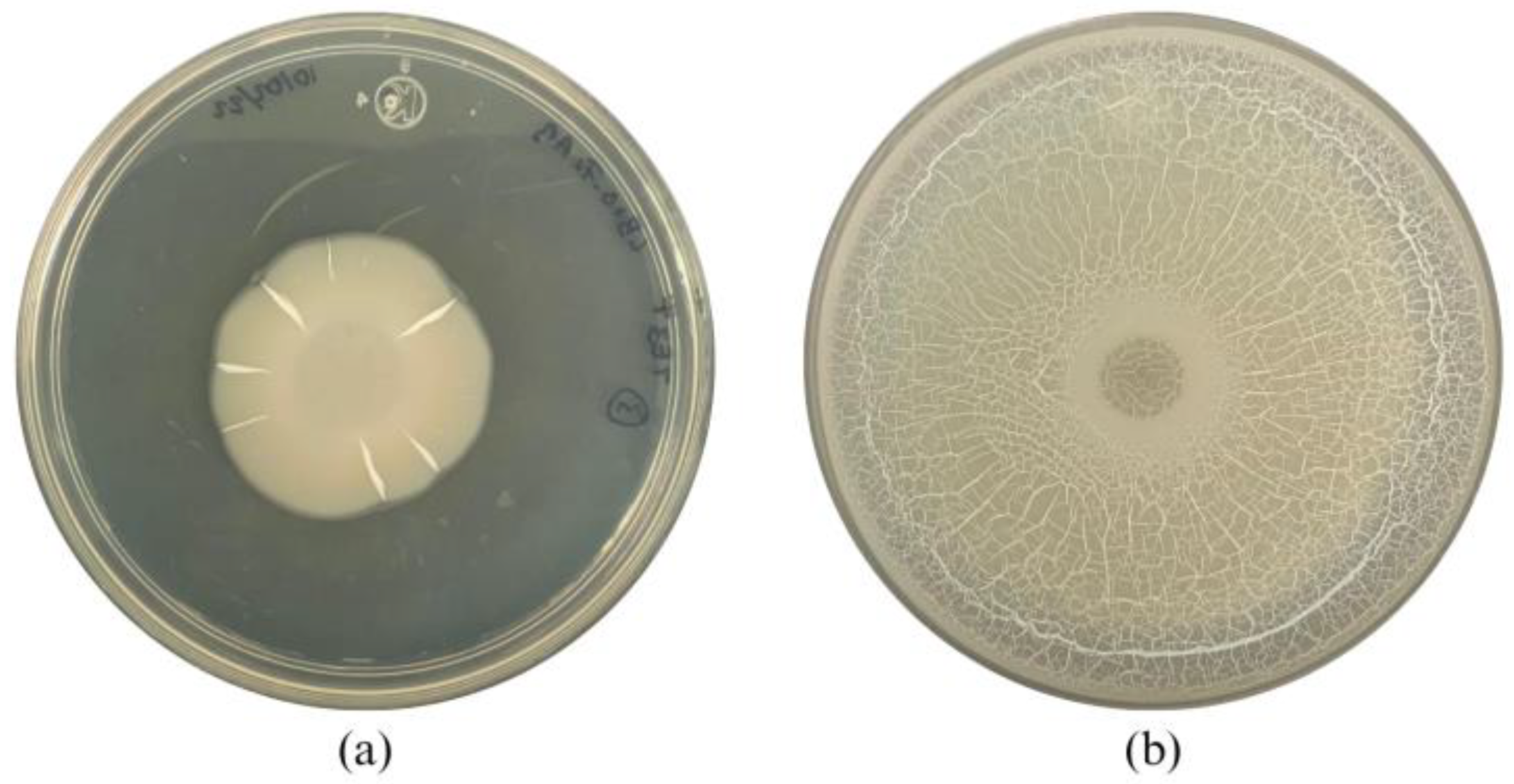 Plants 13 02578 g003 Plants 13 02578 g003