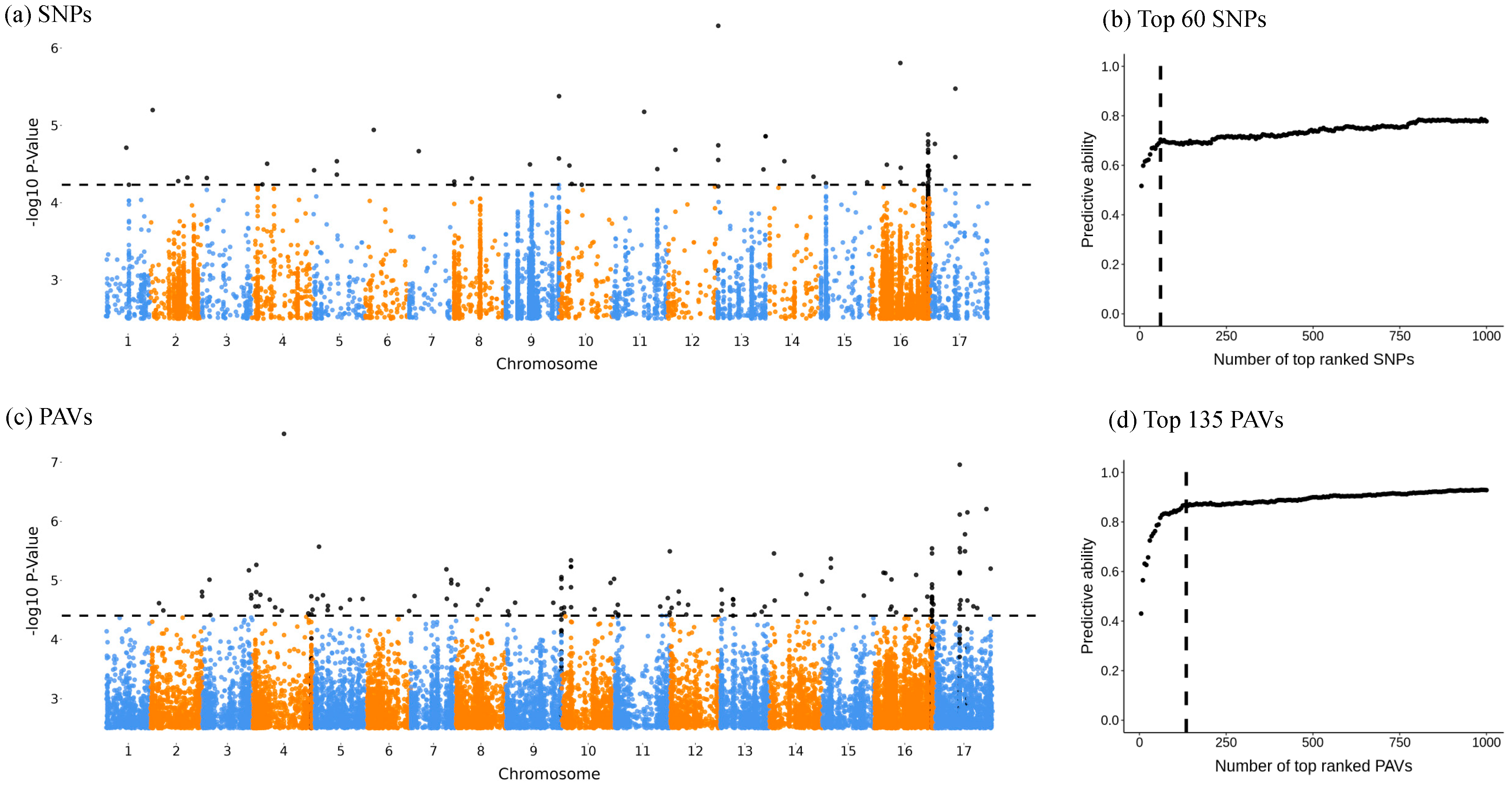 Plants 13 02582 g001