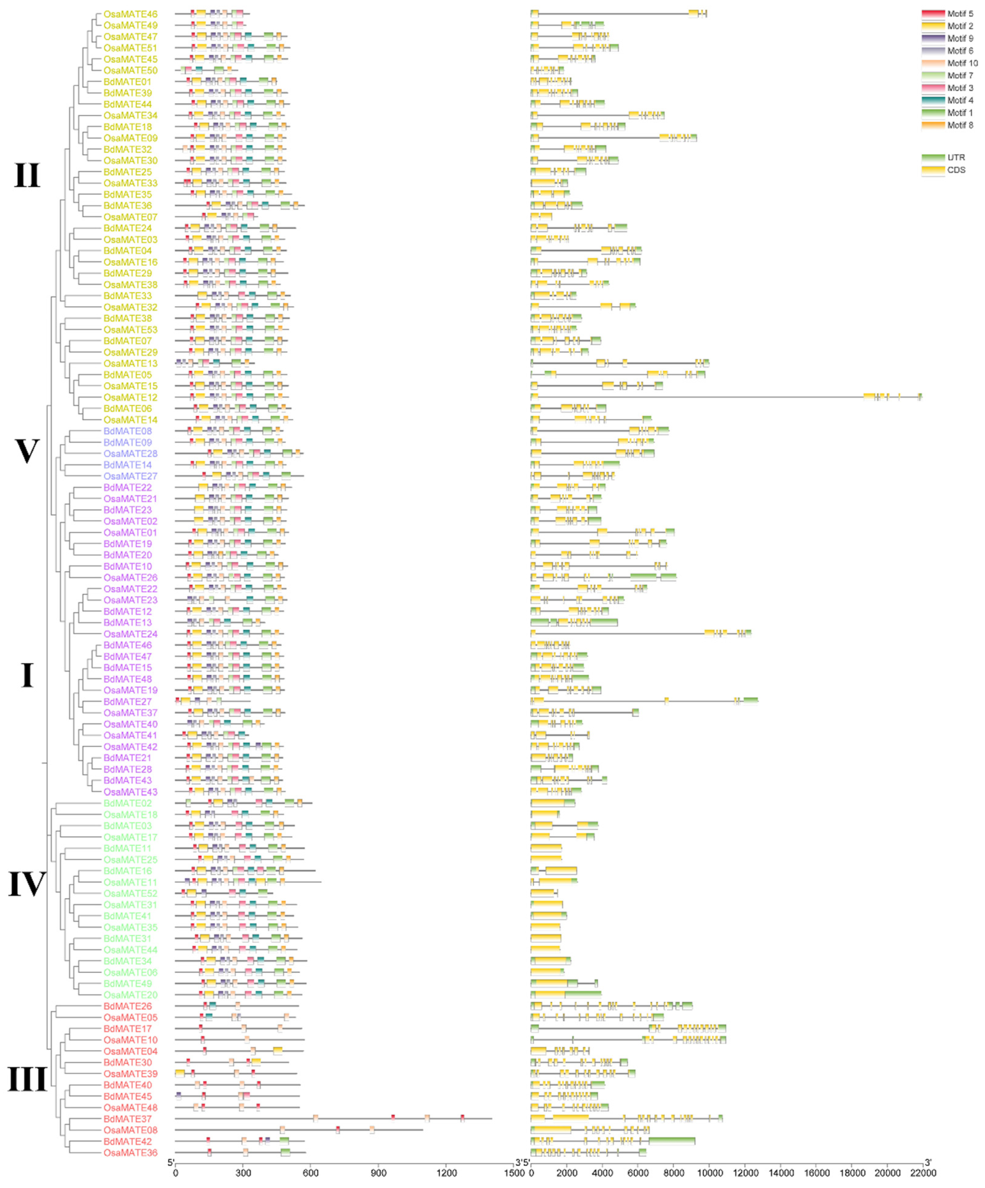 Plants 13 02586 g002 Plants 13 02586 g002