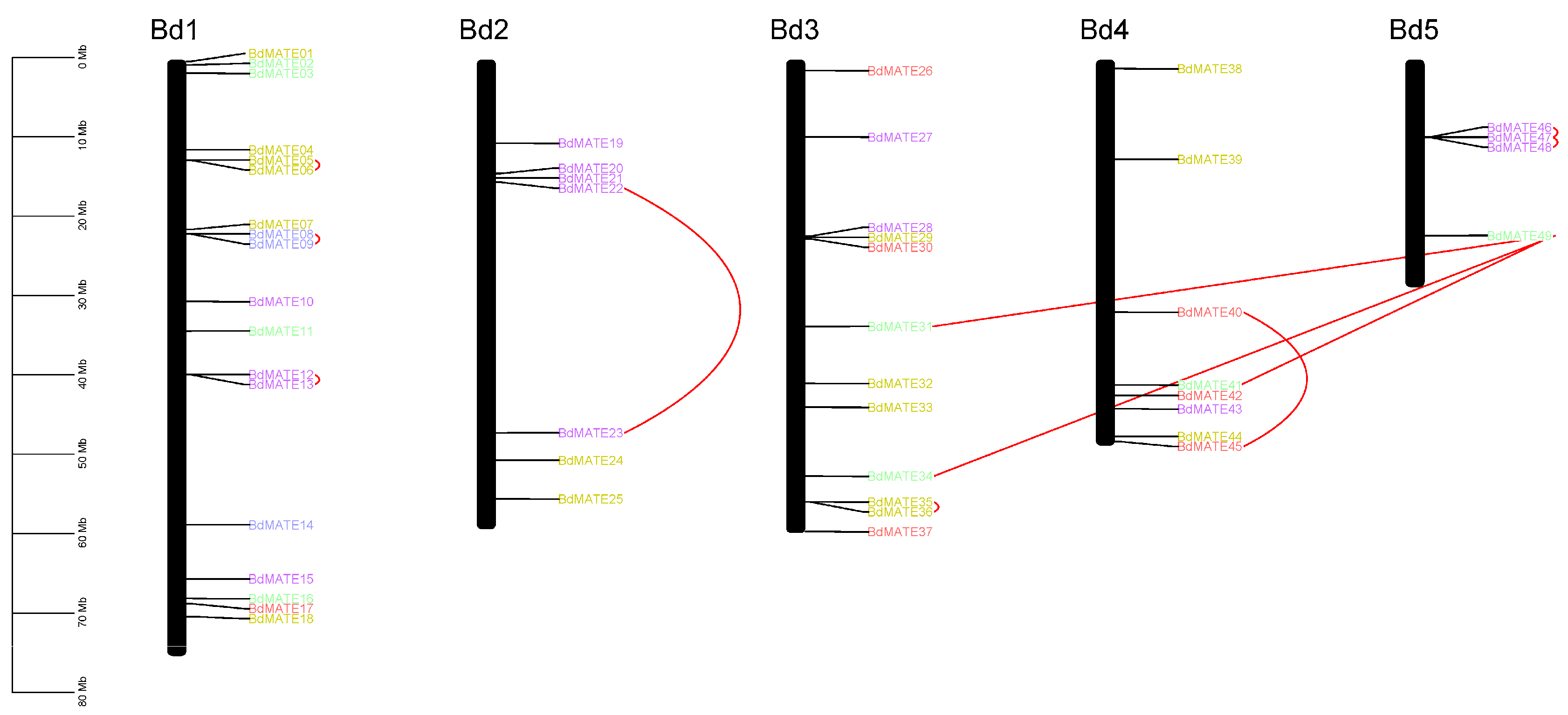 Plants 13 02586 g003 Plants 13 02586 g003