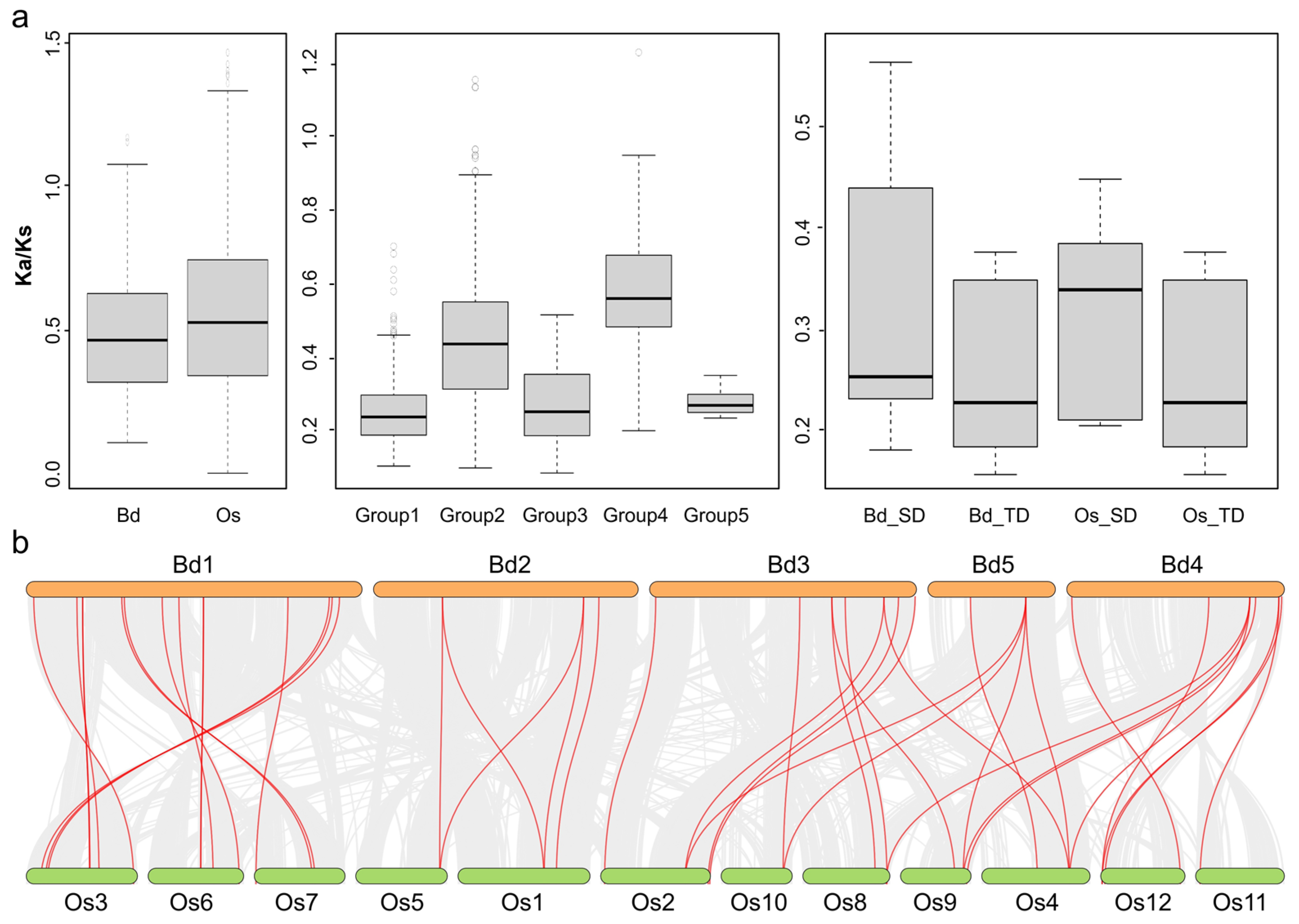 Plants 13 02586 g004 Plants 13 02586 g004