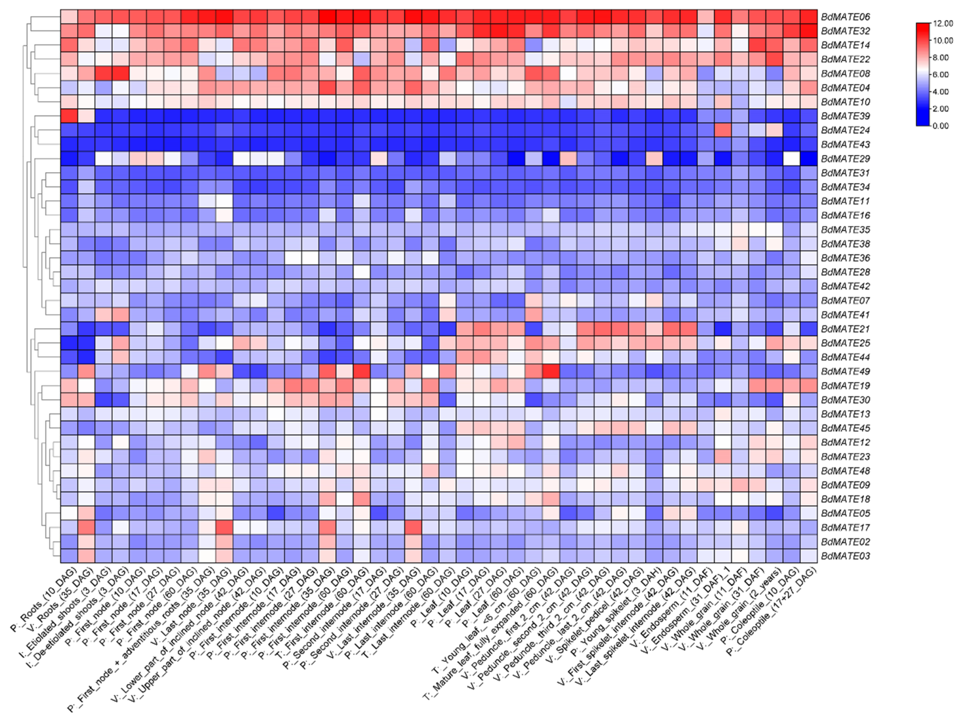 Plants 13 02586 g007 Plants 13 02586 g007