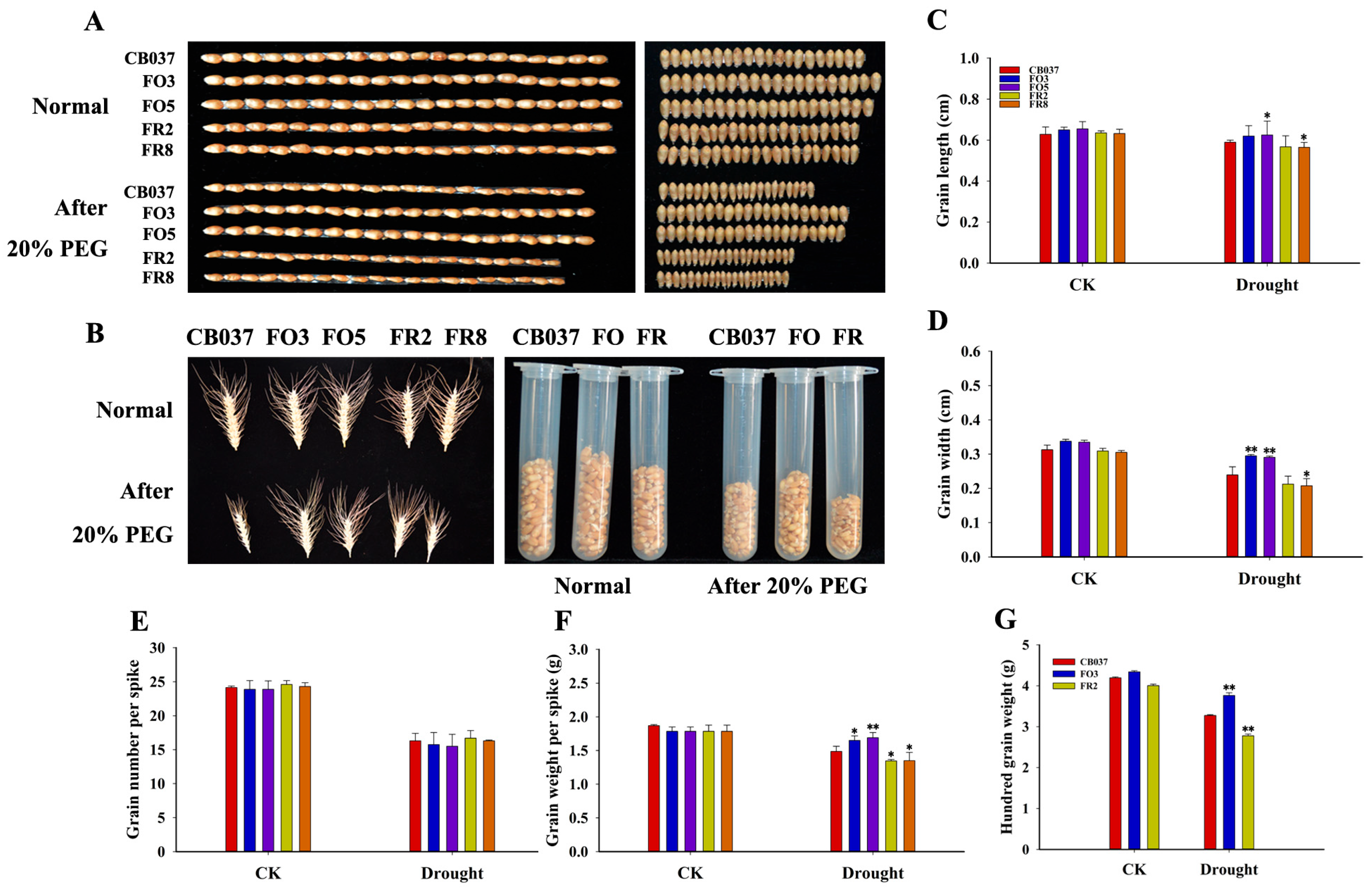 Plants 13 02588 g003