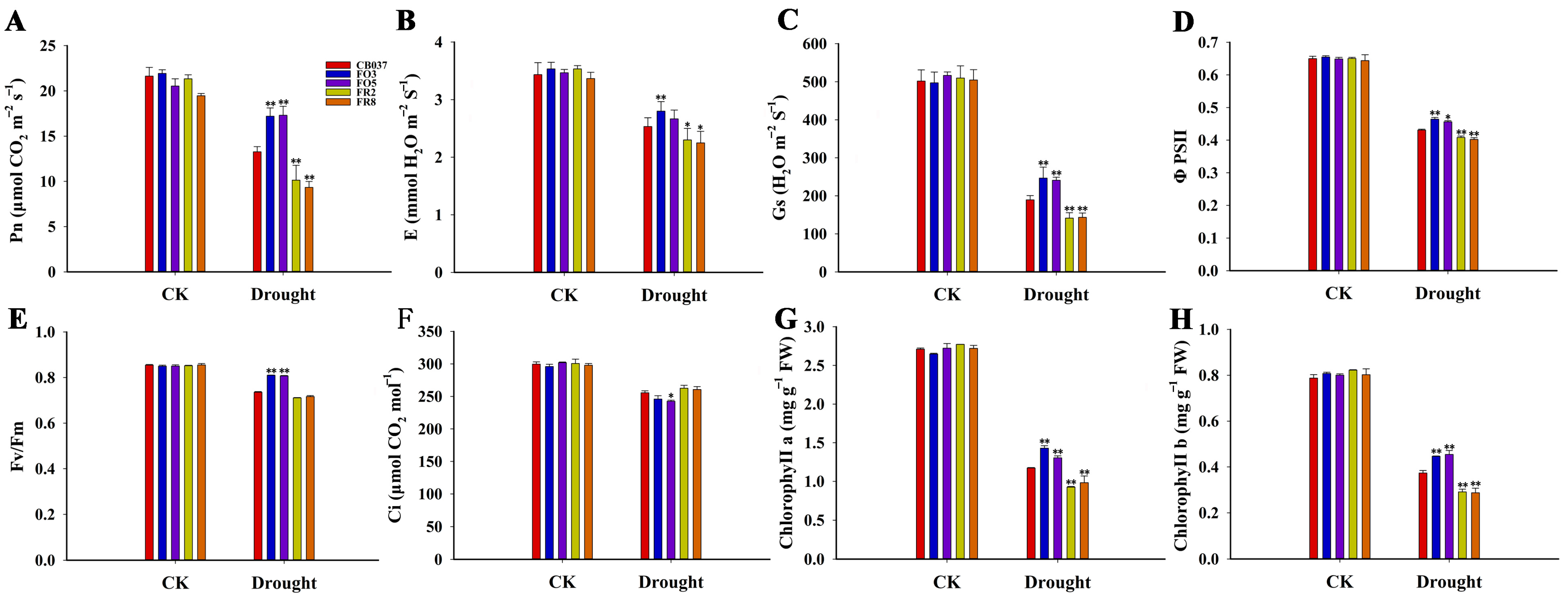 Plants 13 02588 g004