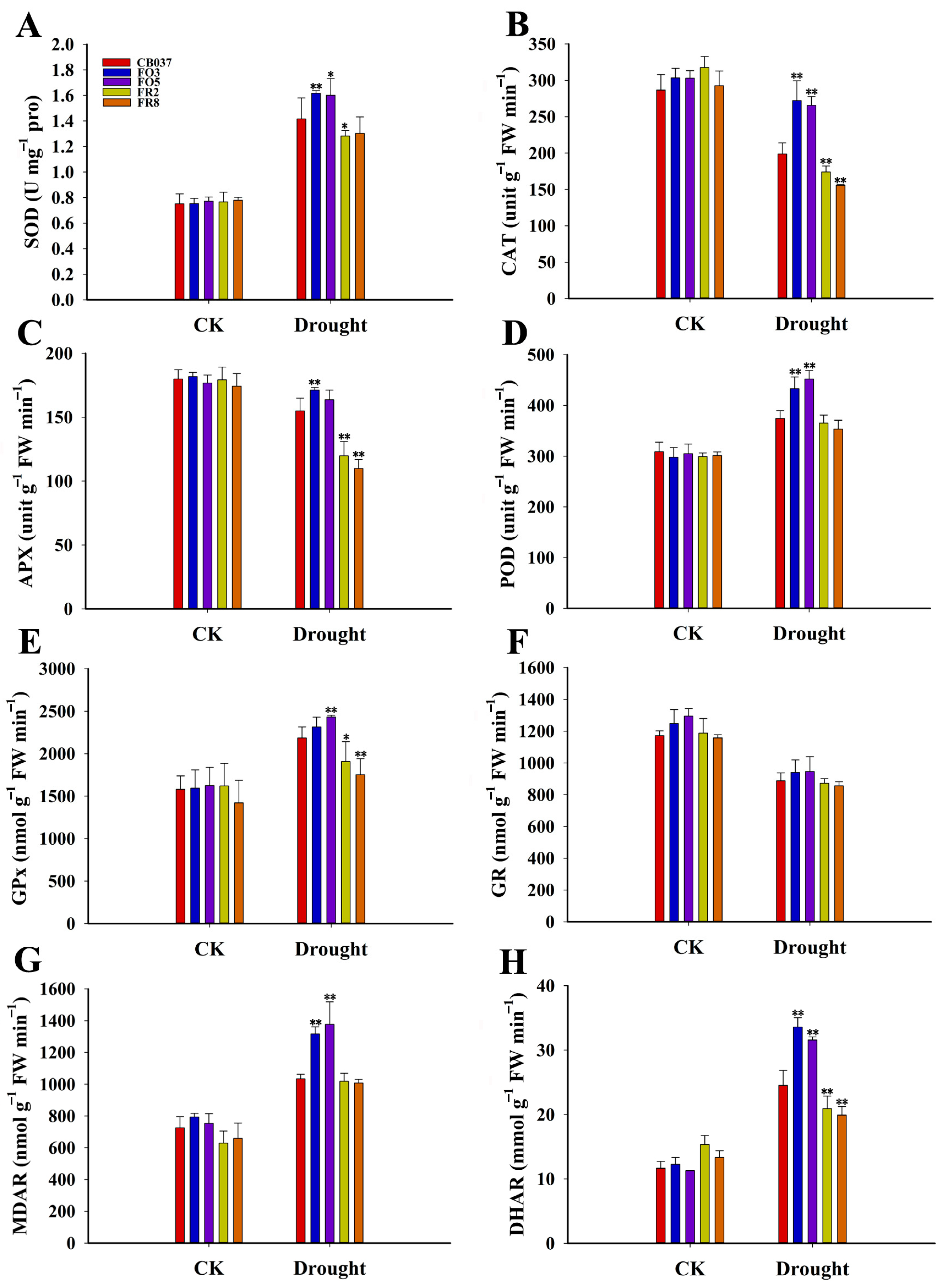 Plants 13 02588 g006